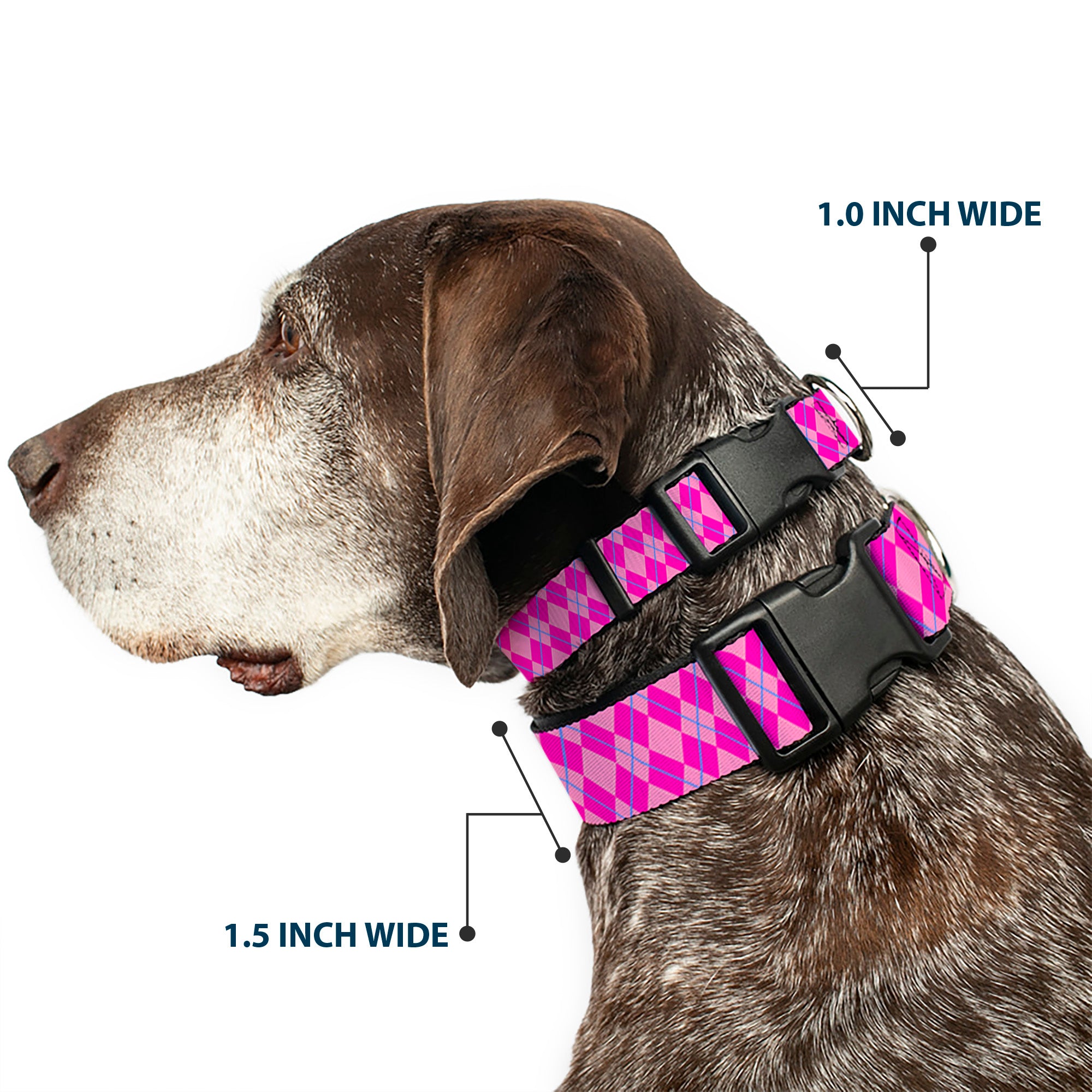 Plastic Clip Collar - Argyle Pink/Fuchsia/Blue Plastic Clip Collars Buckle-Down