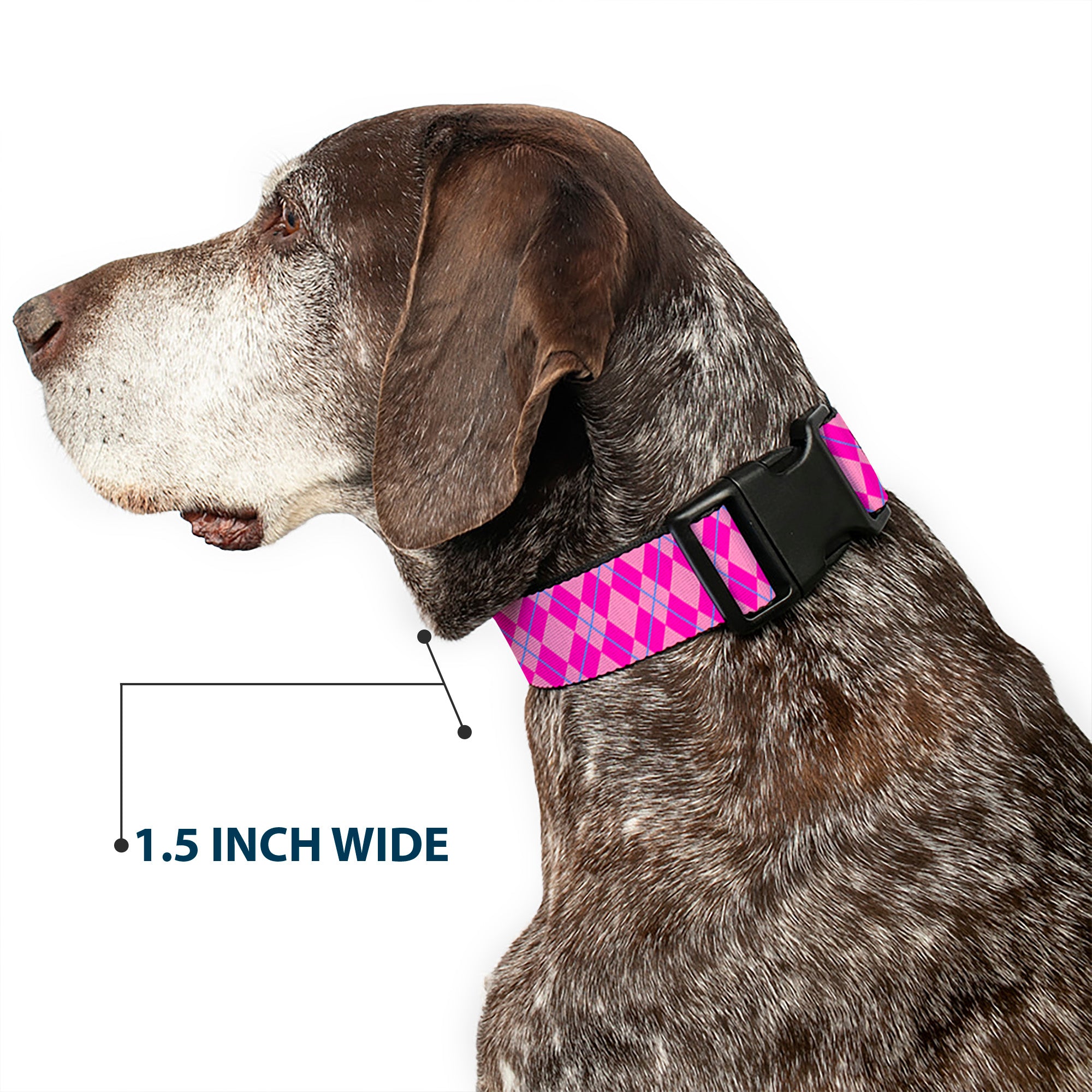 Plastic Clip Collar - Argyle Pink/Fuchsia/Blue Plastic Clip Collars Buckle-Down