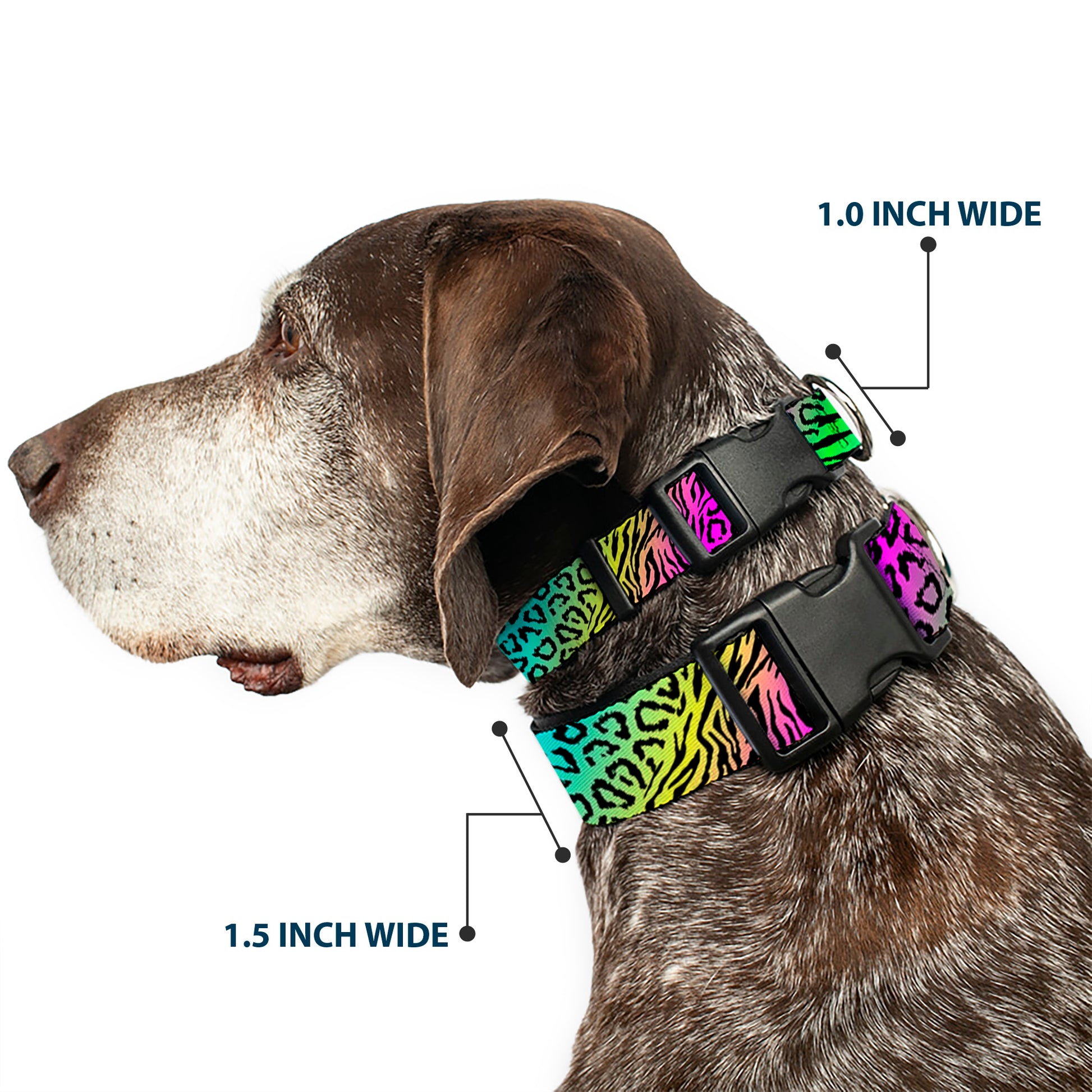 Plastic Clip Collar - Animal Skins Rainbow/Black Plastic Clip Collars Buckle-Down