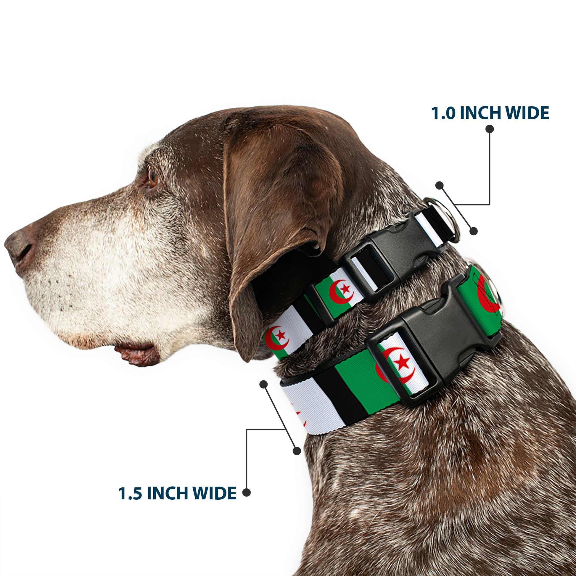 Plastic Clip Collar - Algeria Flags Plastic Clip Collars Buckle-Down