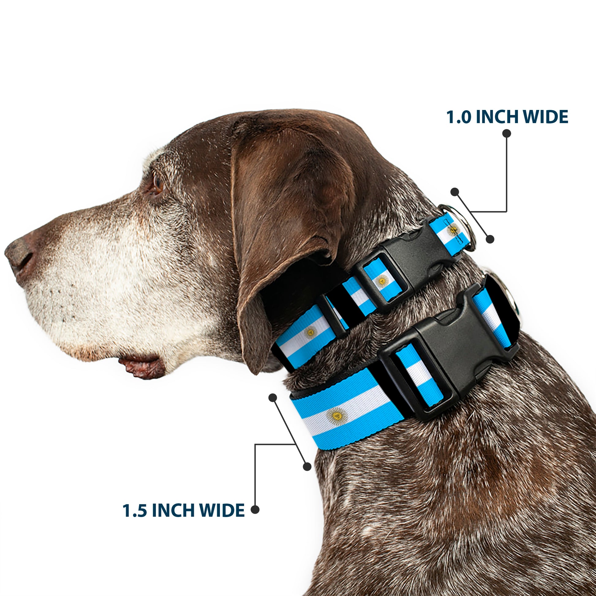 Plastic Clip Collar - Argentina Flags Plastic Clip Collars Buckle-Down