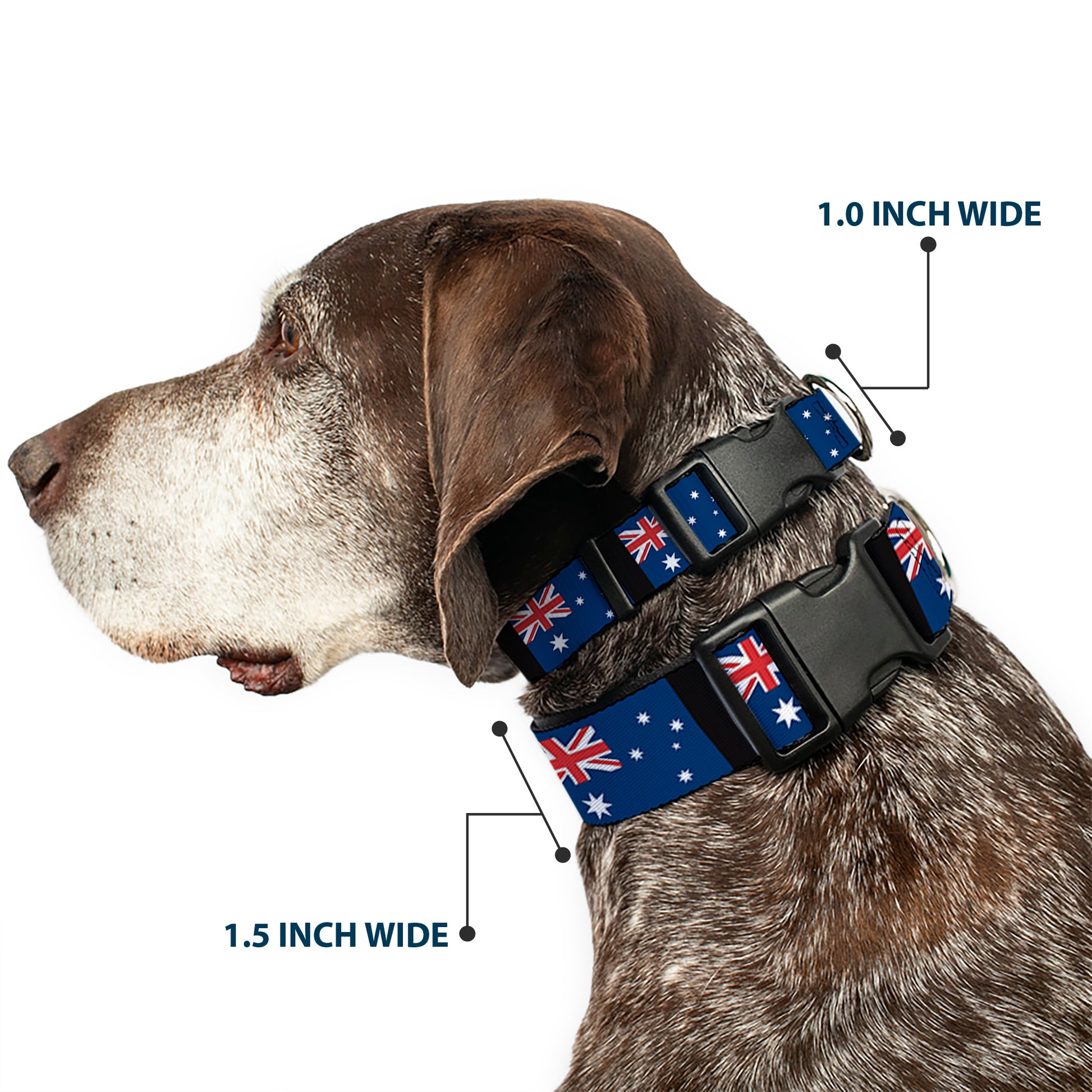 Plastic Clip Collar - Australia Flags Plastic Clip Collars Buckle-Down