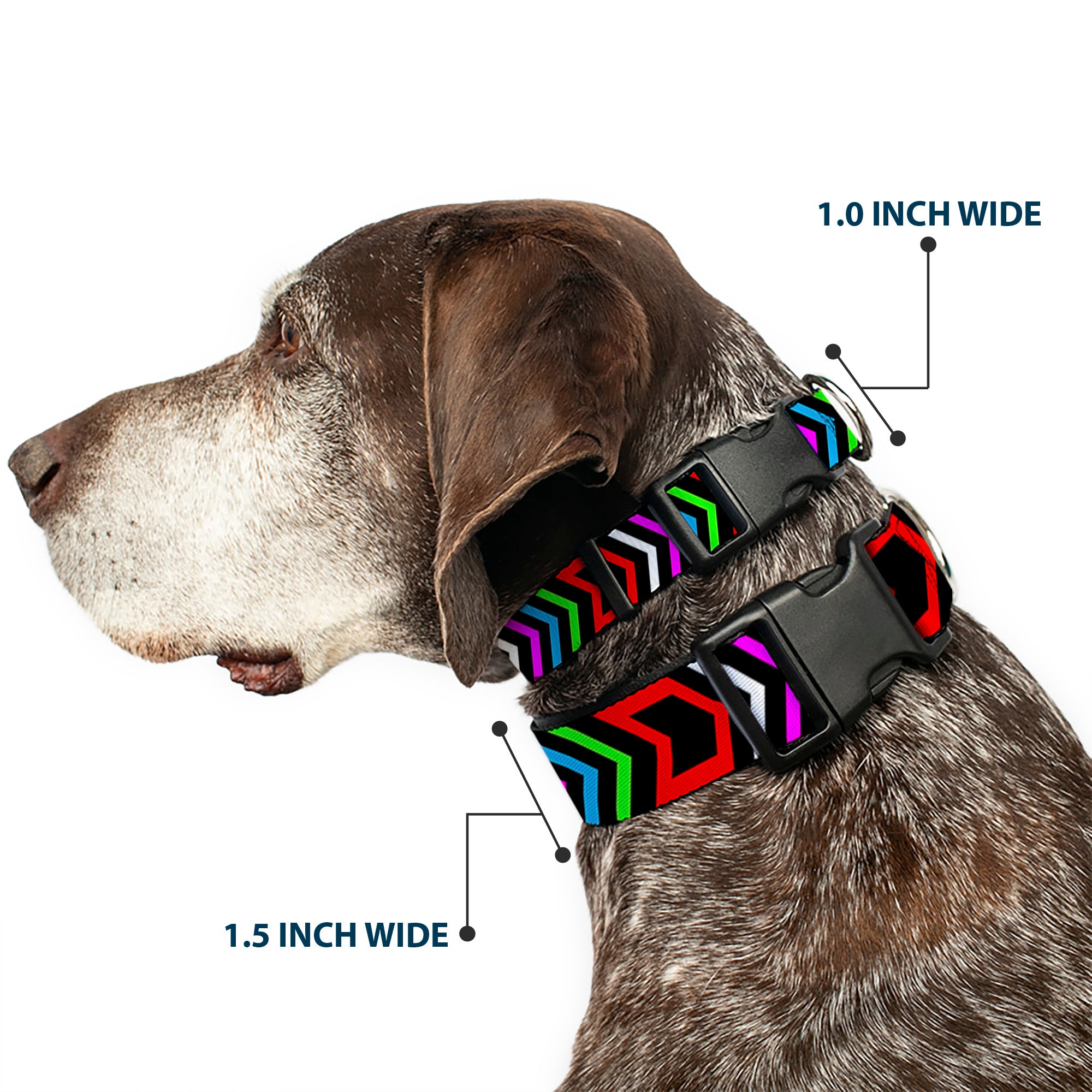 Plastic Clip Collar - Arrows Black/Multi Color Plastic Clip Collars Buckle-Down