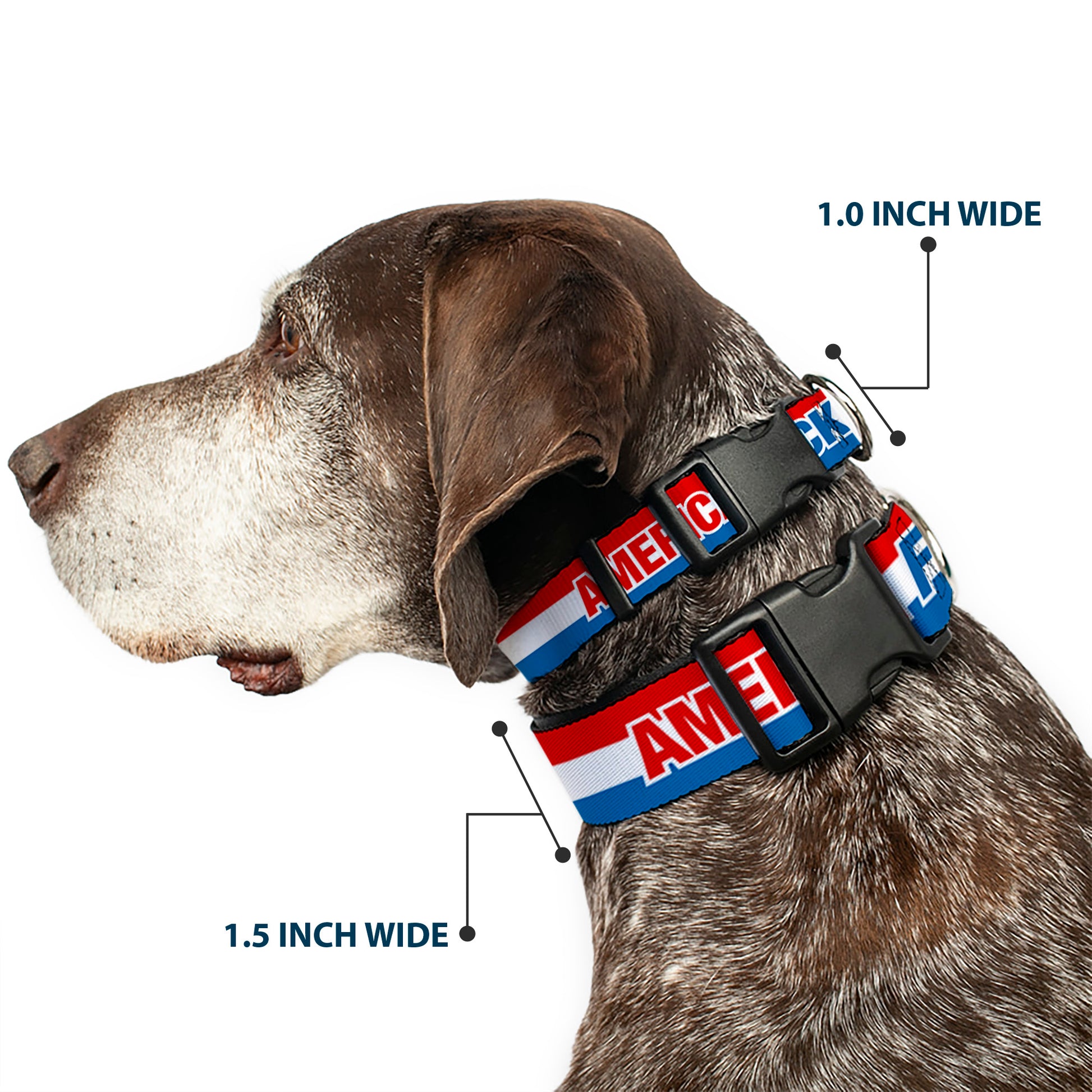 Plastic Clip Collar - AMERICA, FUCK YEA Red/White/Blue Plastic Clip Collars Buckle-Down
