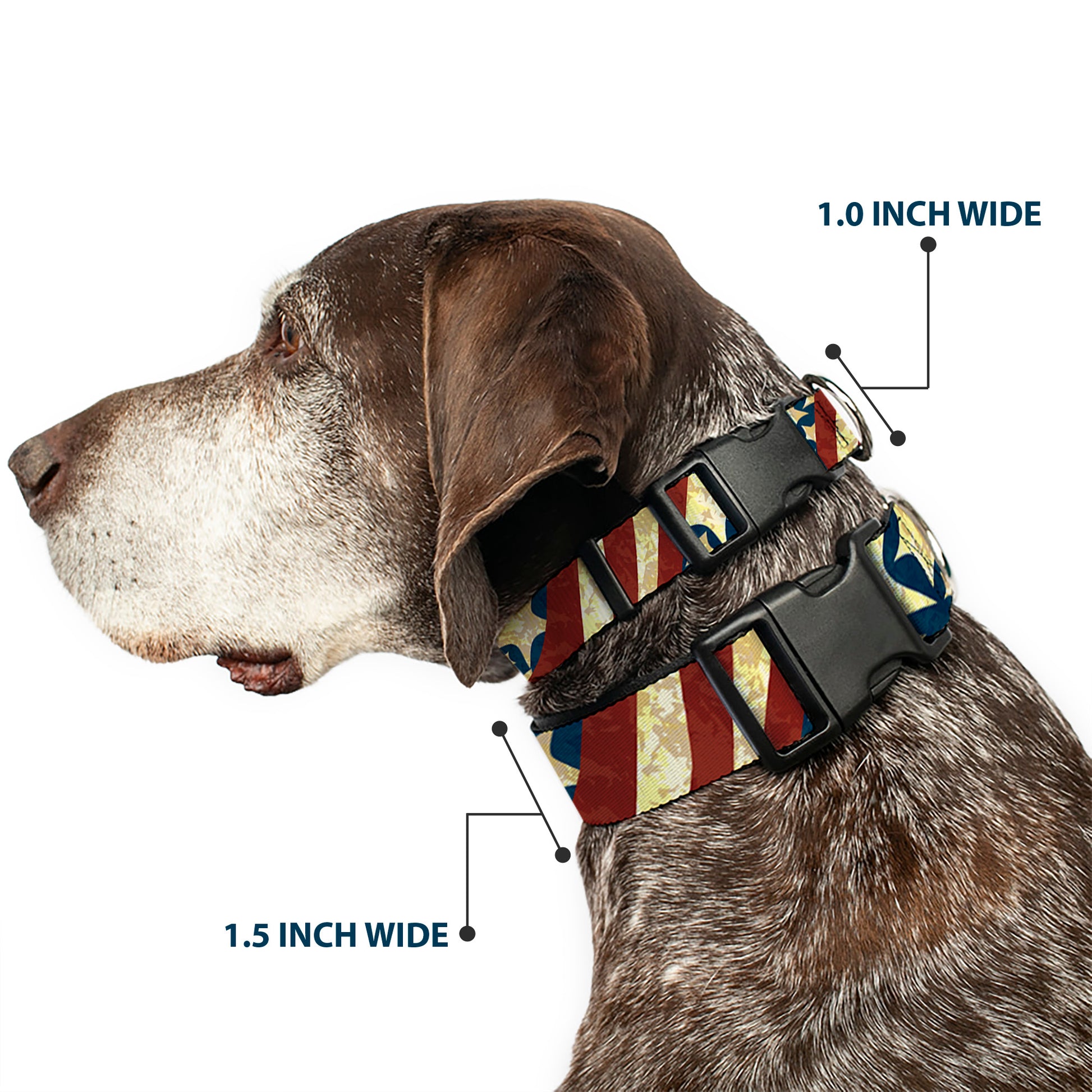 Plastic Clip Collar - Americana Diagonal Vintage Stars & Stripes2 Plastic Clip Collars Buckle-Down
