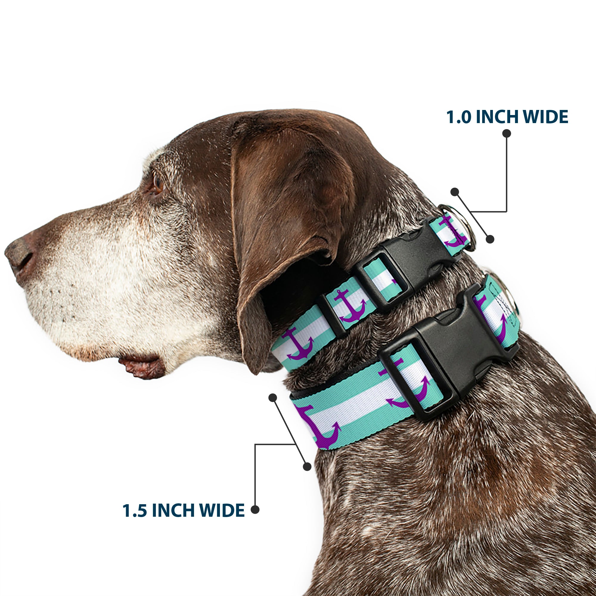 Plastic Clip Collar - Anchor/Stripe Teal/White/Purple Plastic Clip Collars Buckle-Down