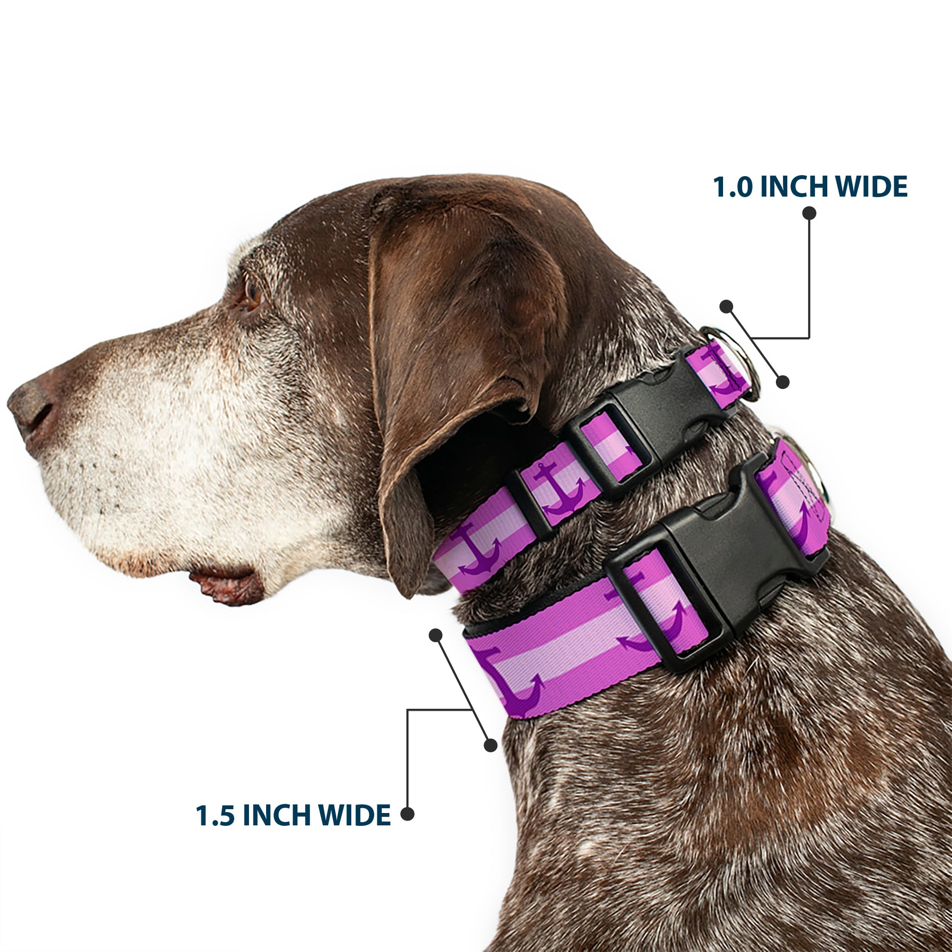 Plastic Clip Collar - Anchor/Stripe Pinks/Purple Plastic Clip Collars Buckle-Down