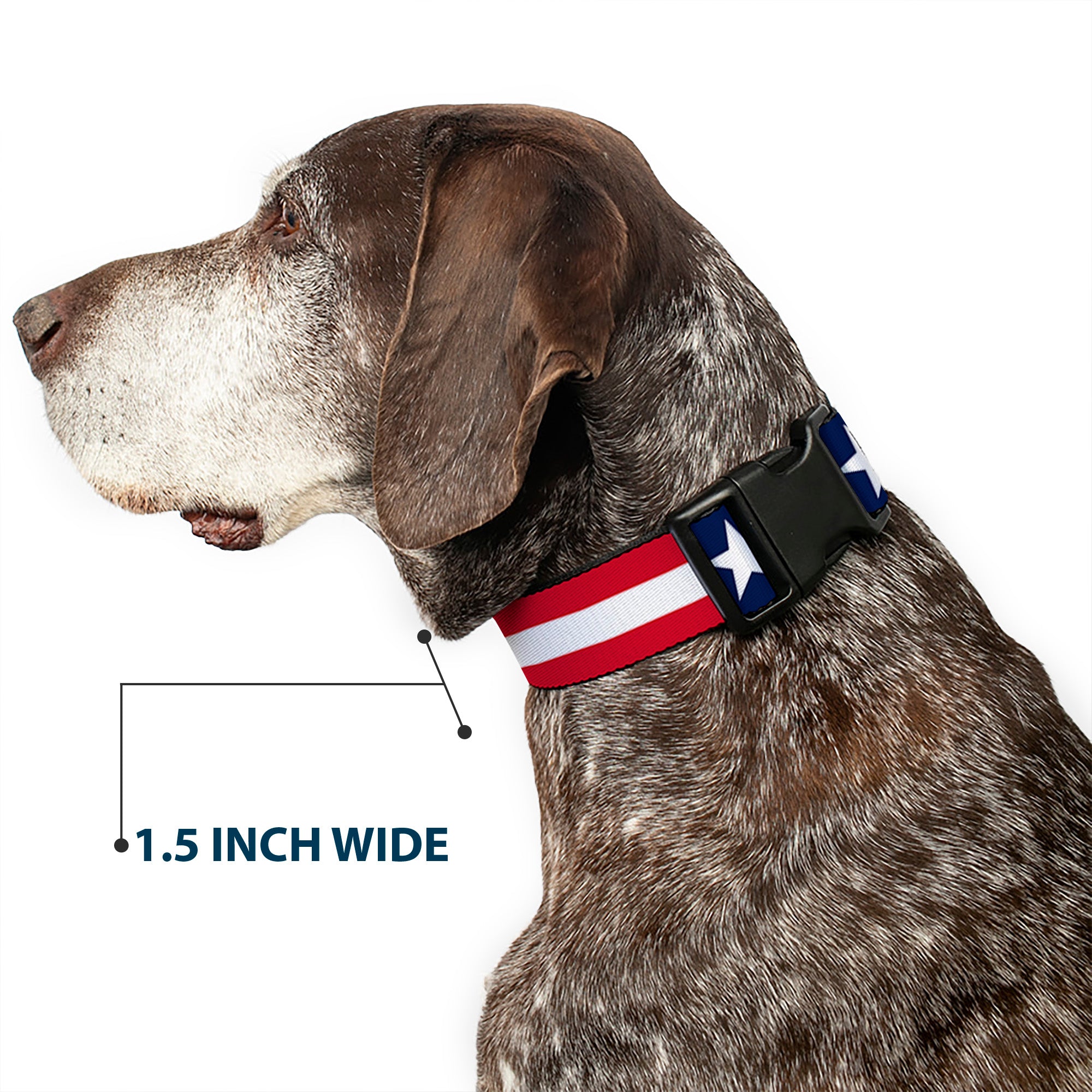 Plastic Clip Collar - Americana Stars & Stripes Plastic Clip Collars Buckle-Down