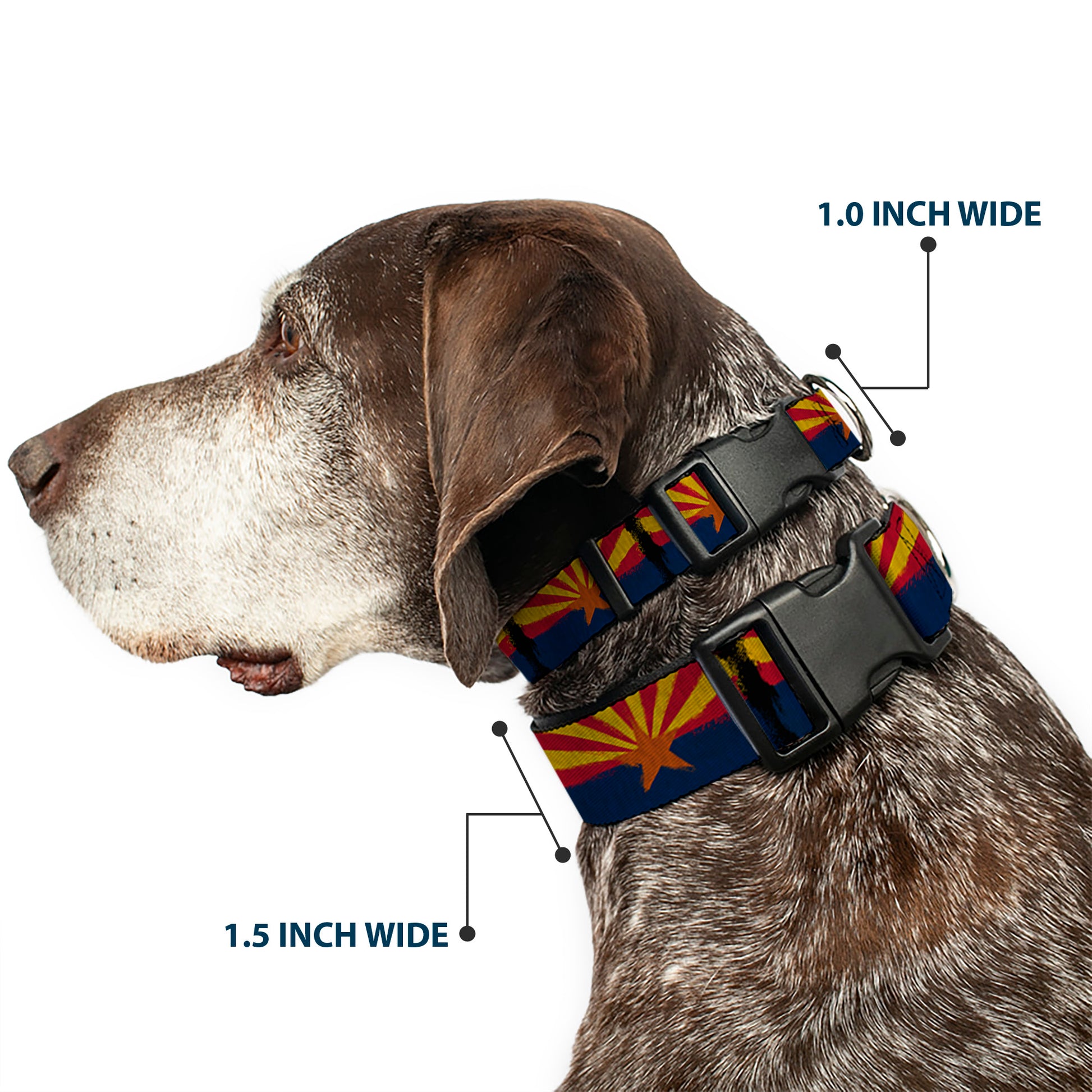Plastic Clip Collar - Arizona Flag Distressed Painting Plastic Clip Collars Buckle-Down