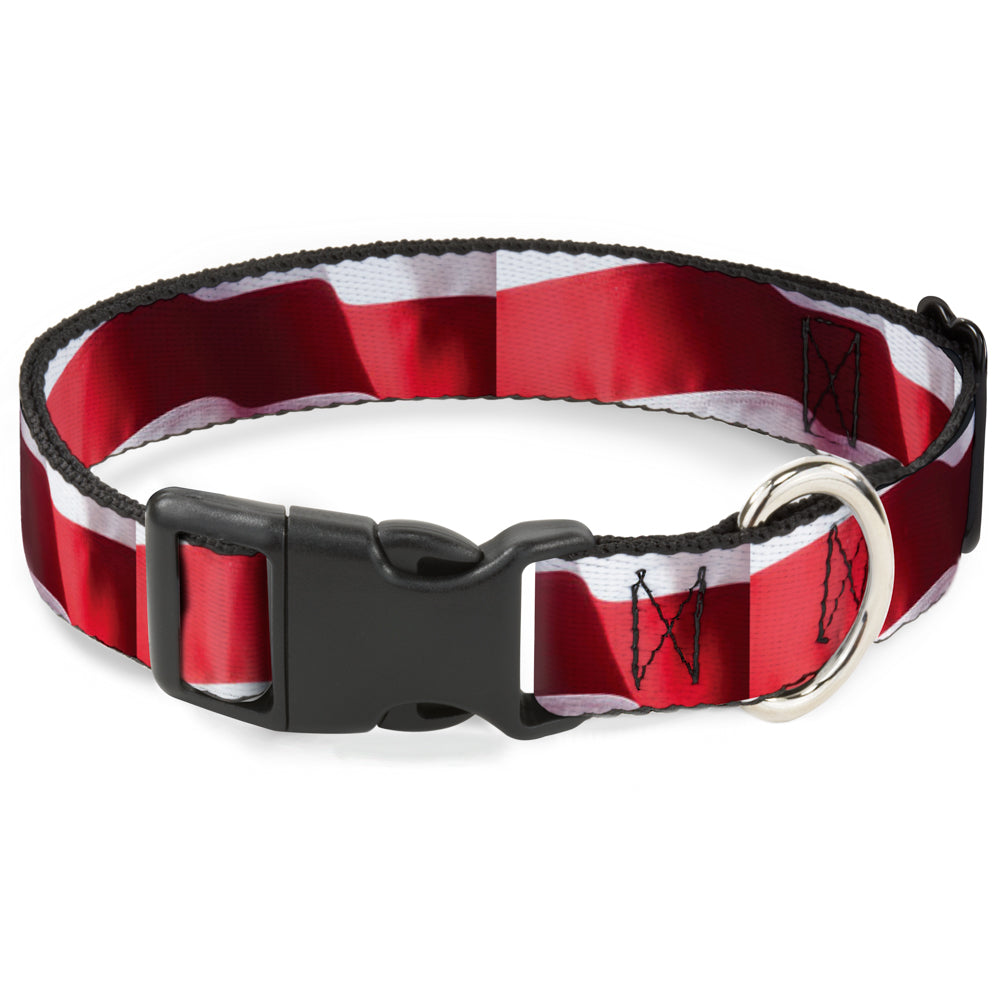 Plastic Clip Collar - American Flag Vivid Stripes CLOSE-UP Red/White Plastic Clip Collars Buckle-Down