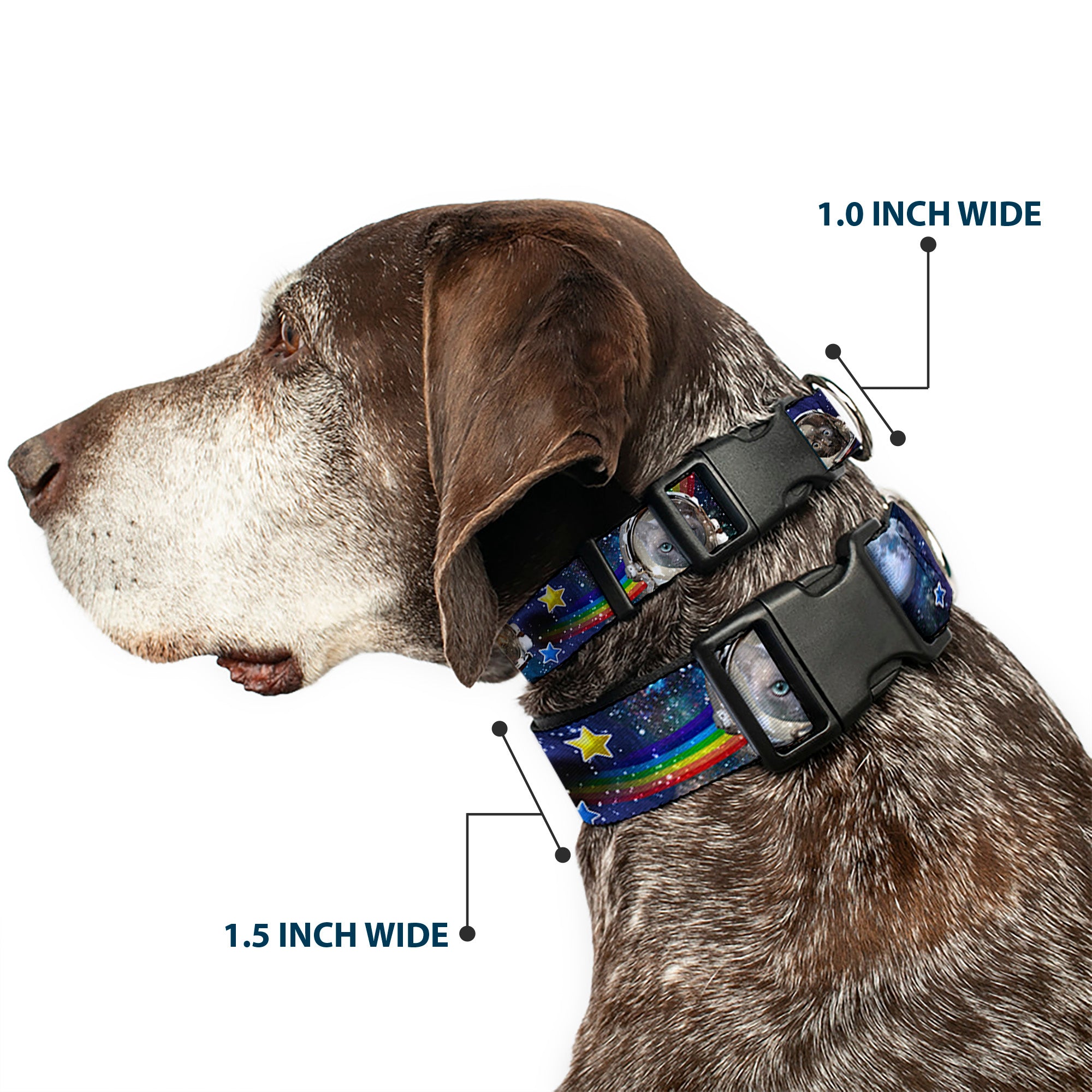 Plastic Clip Collar - Astronaut Cats in Space/Rainbows/Stars Plastic Clip Collars Buckle-Down