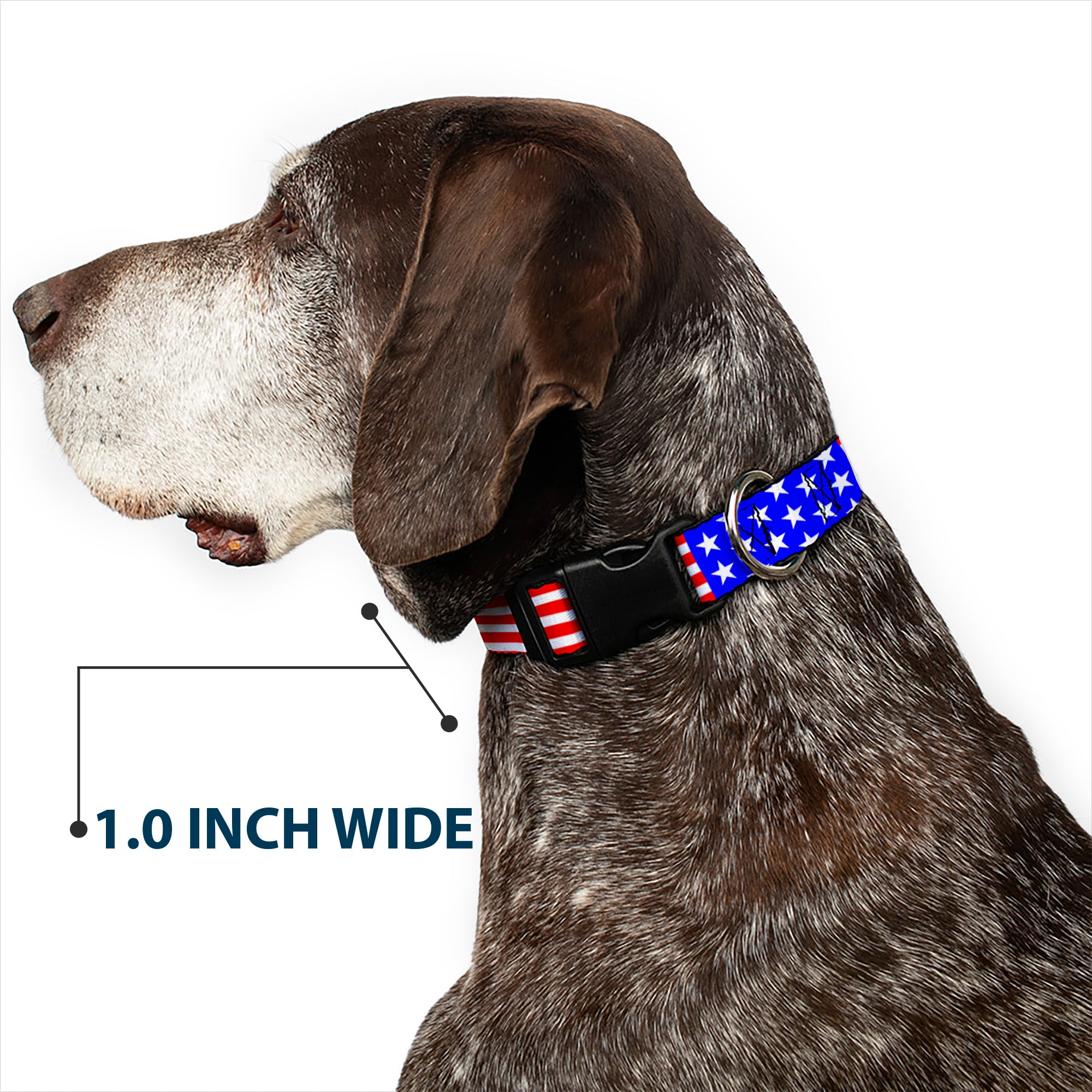 Plastic Clip Collar - Americana Stars & Stripes3 Red/White/Blue Plastic Clip Collars Buckle-Down