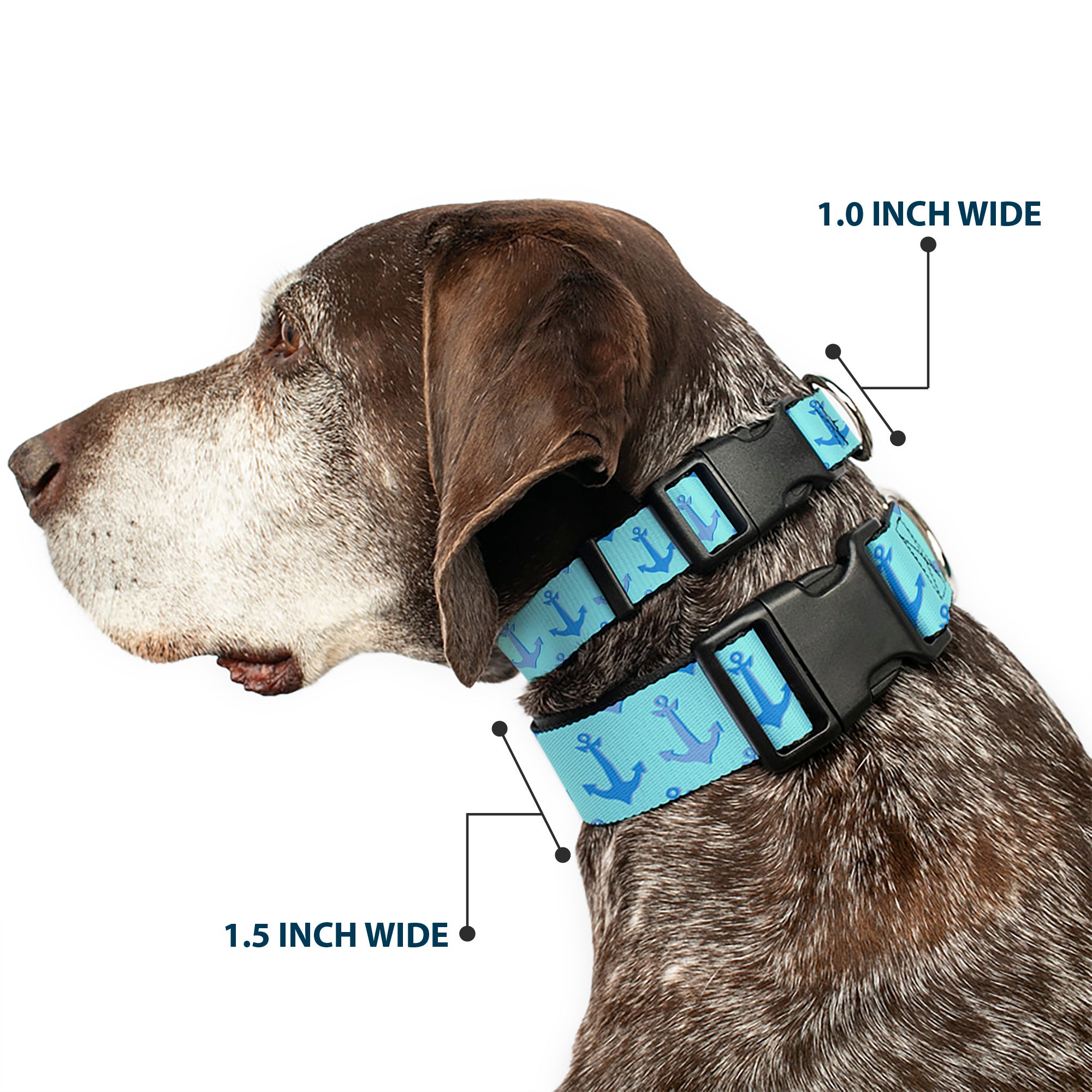 Plastic Clip Collar - Anchor2 CLOSE-UP Turquoise/Blues Plastic Clip Collars Buckle-Down