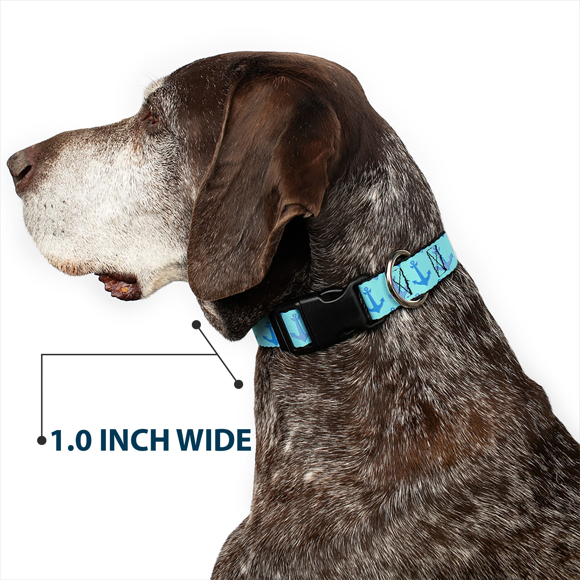 Plastic Clip Collar - Anchor2 CLOSE-UP Turquoise/Blues Plastic Clip Collars Buckle-Down