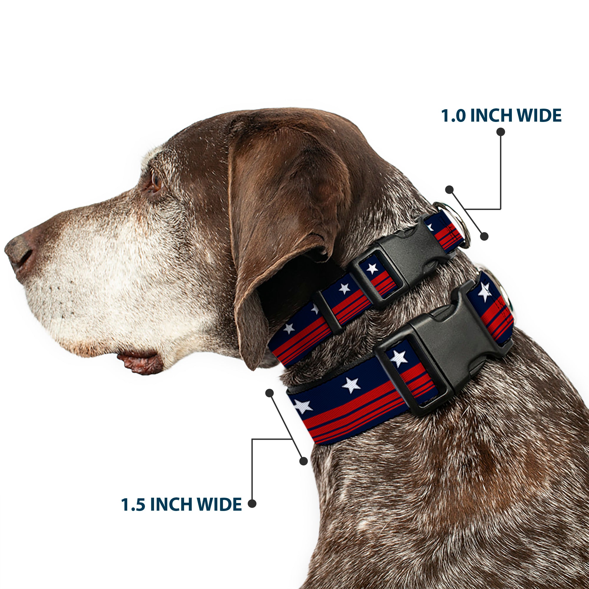 Plastic Clip Collar - Americana Stars & Stripes4 Blue/White/Red Plastic Clip Collars Buckle-Down