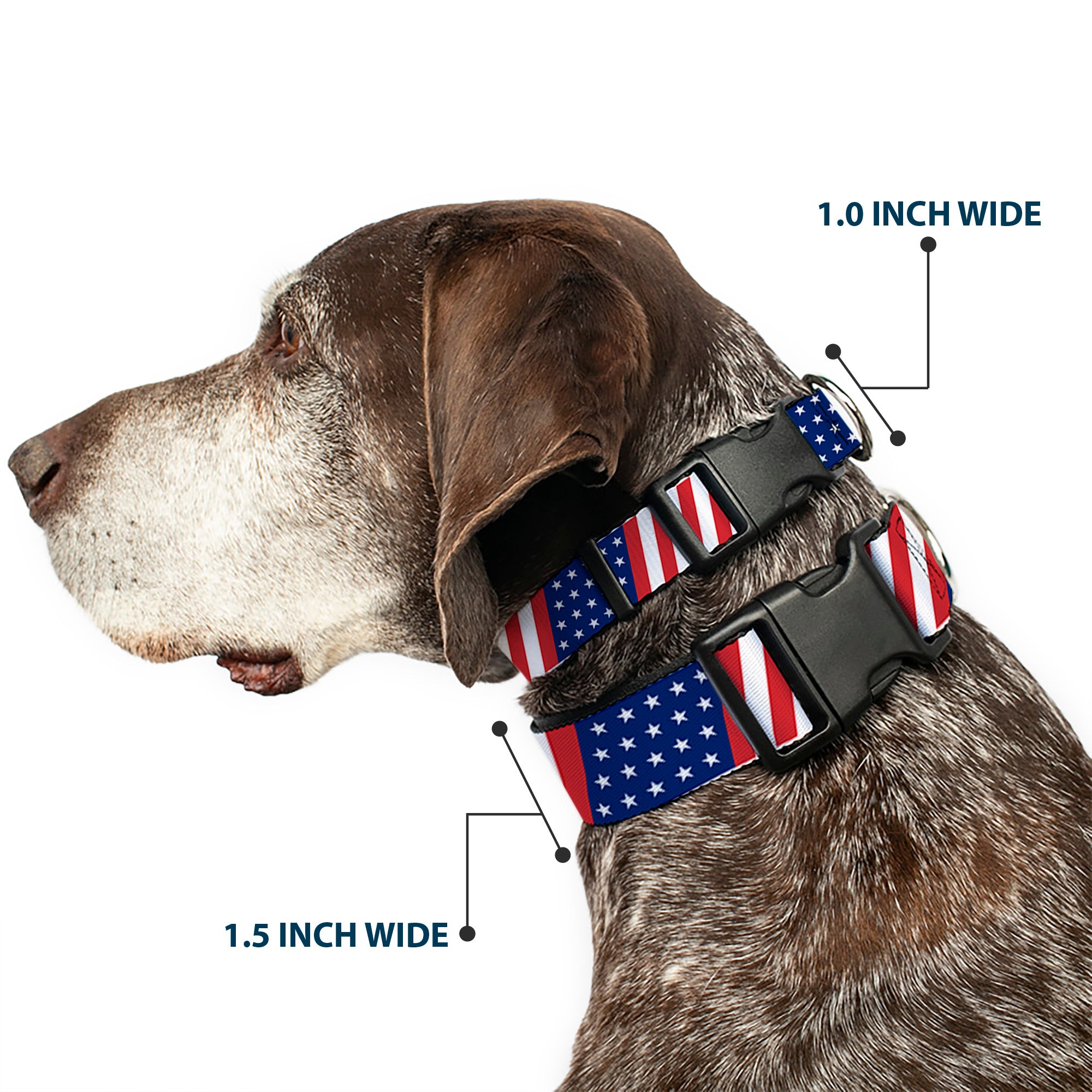 Plastic Clip Collar - American Flag Diagonal Plastic Clip Collars Buckle-Down
