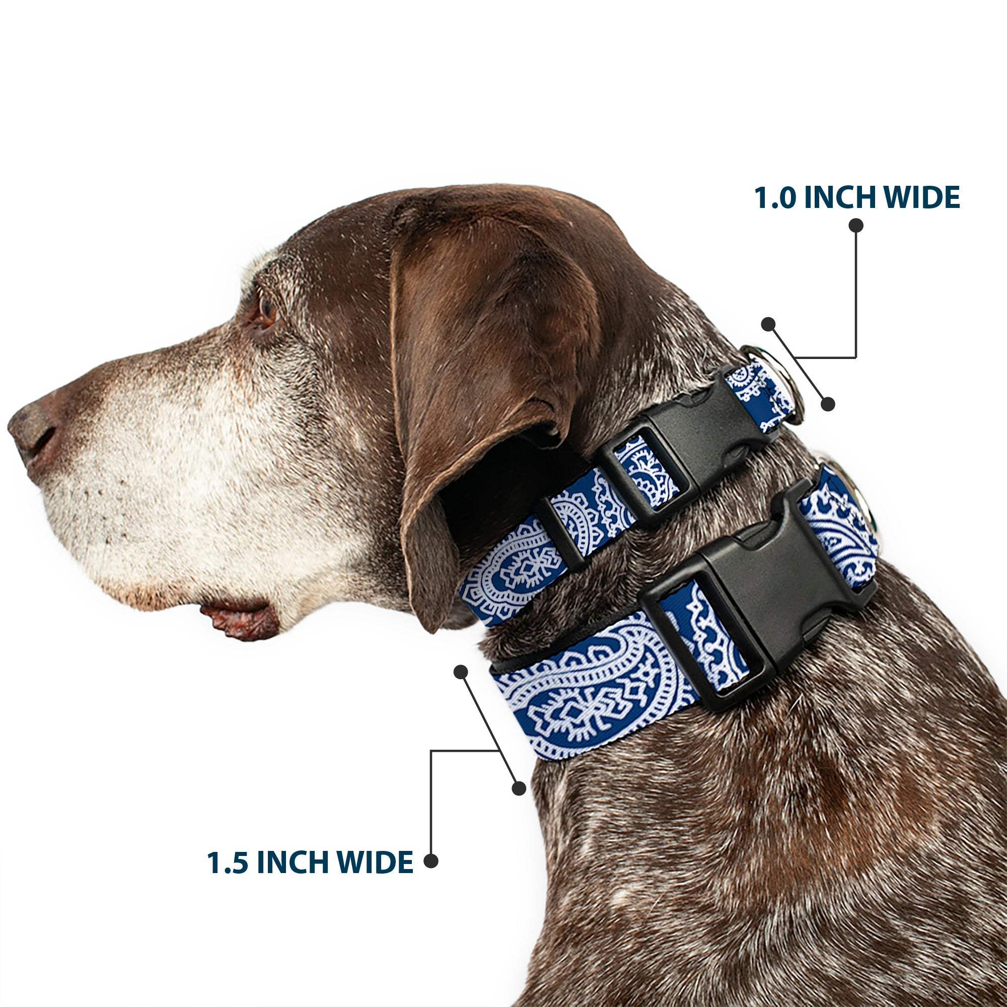 Plastic Clip Collar - Bandana/Skulls Royal/White Plastic Clip Collars Buckle-Down