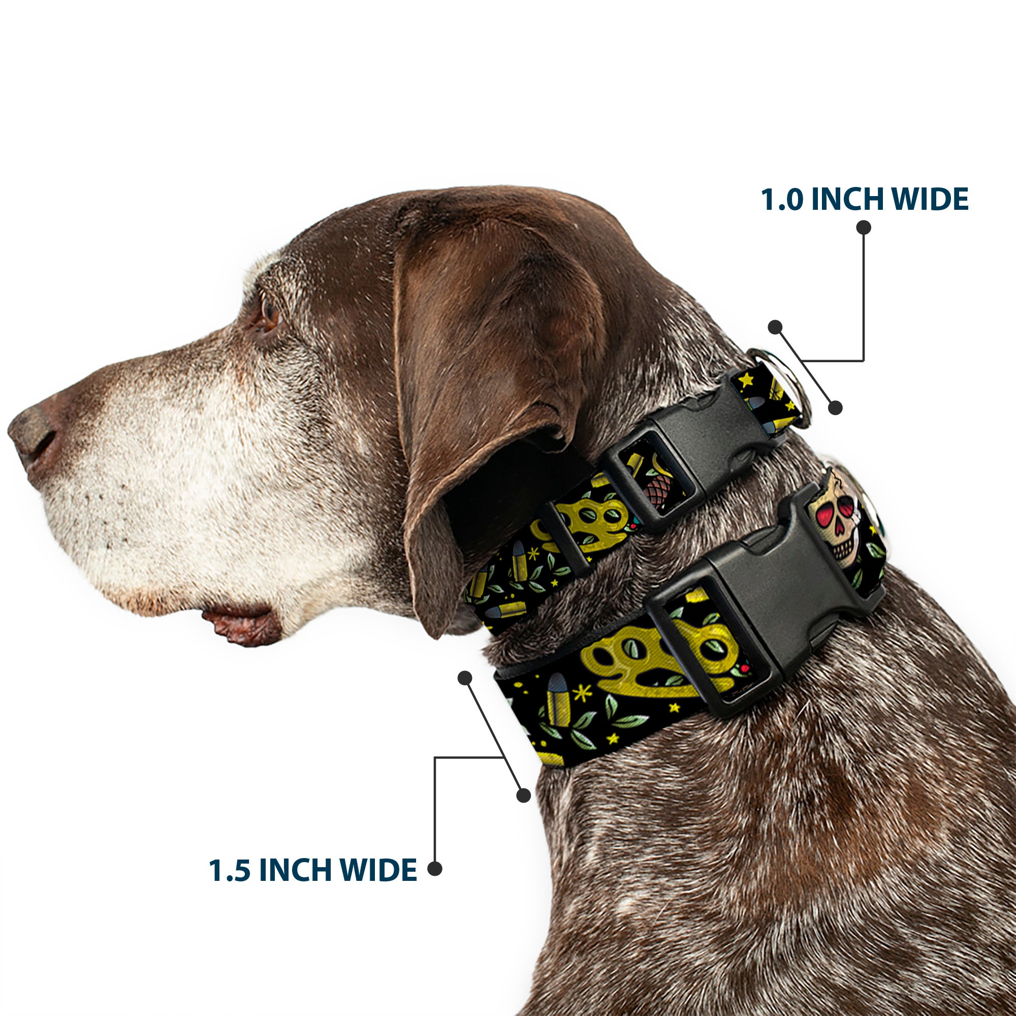 Plastic Clip Collar - Born to Raise Hell CLOSE-UP Black Plastic Clip Collars Buckle-Down