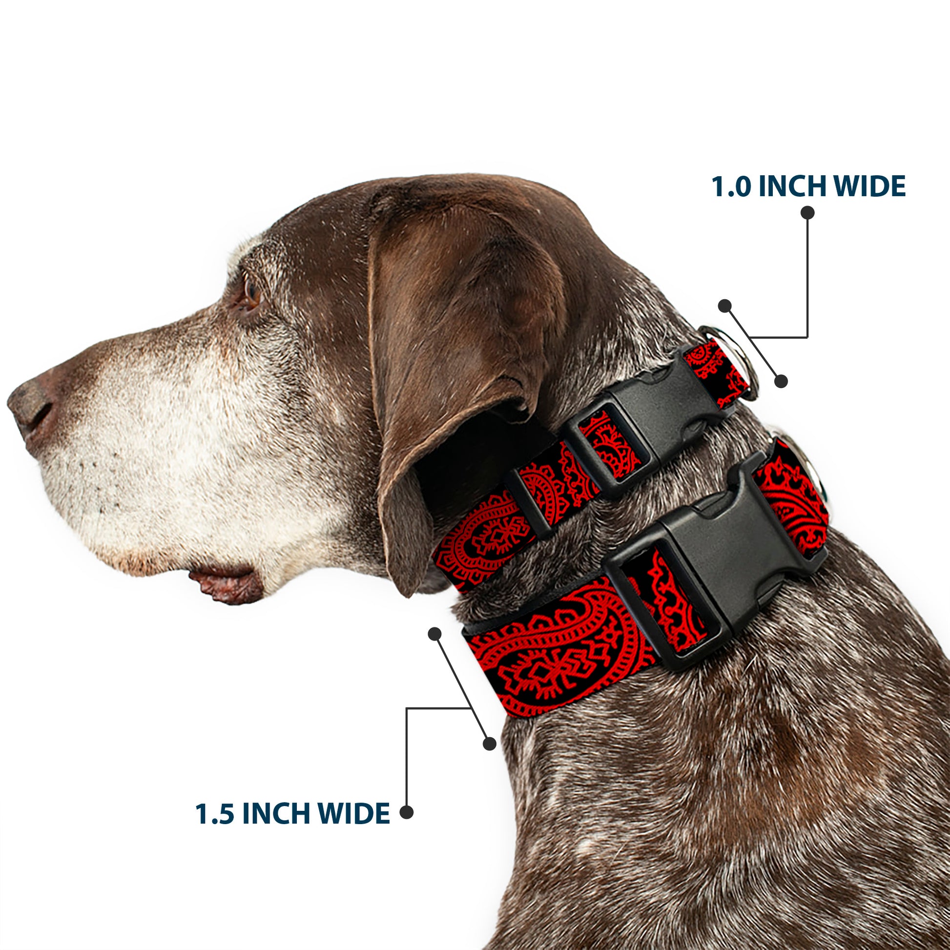 Plastic Clip Collar - Bandana/Skulls Black/Red Plastic Clip Collars Buckle-Down