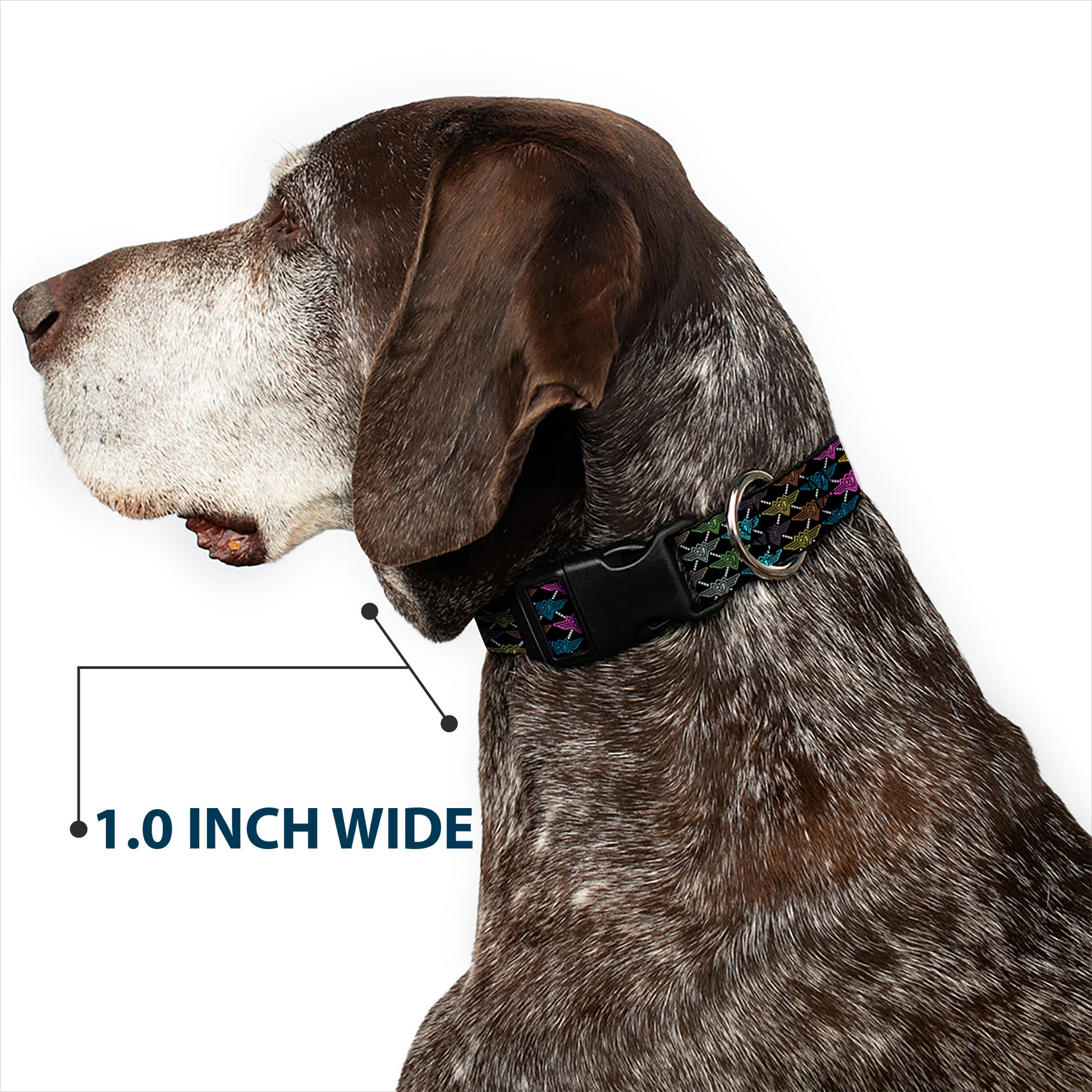 Plastic Clip Collar - BD Monogram Black/Multi Neon Plastic Clip Collars Buckle-Down
