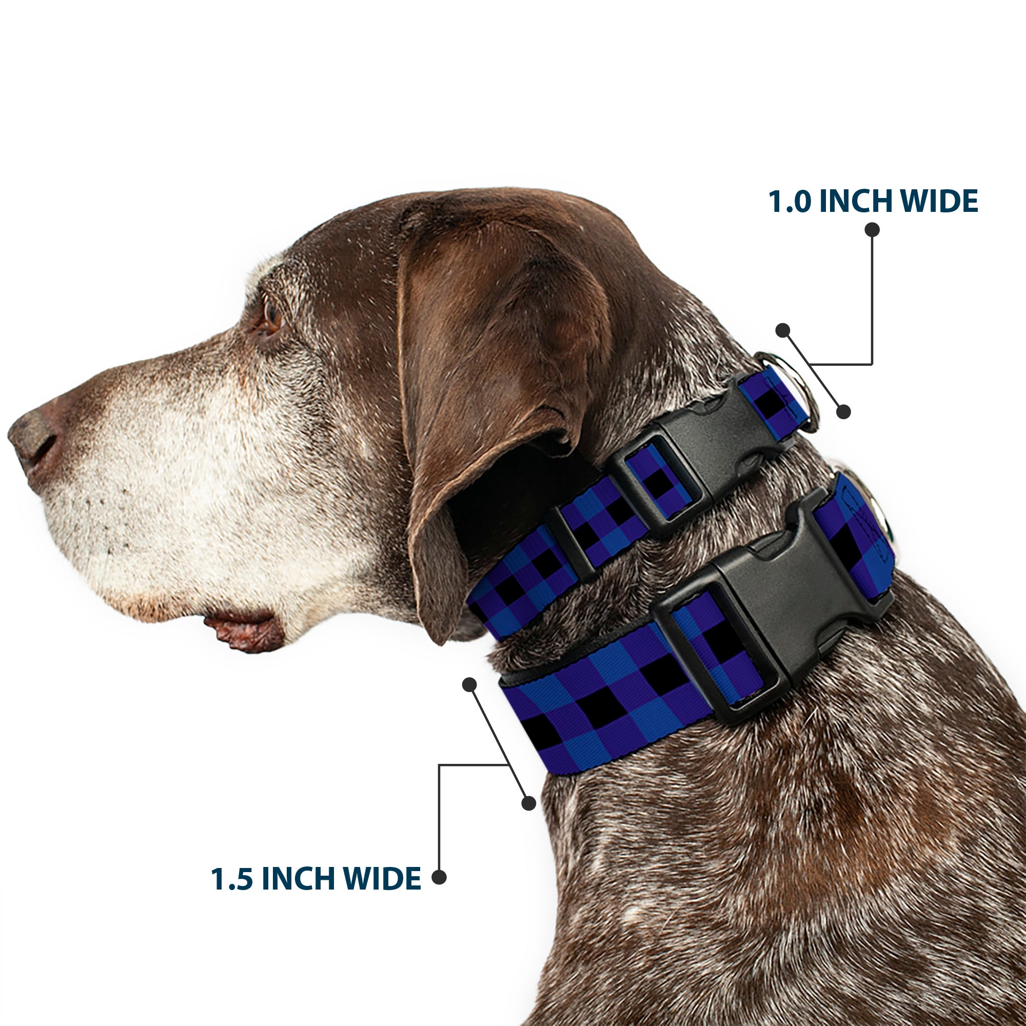 Plastic Clip Collar - Buffalo Plaid Black/Blue Plastic Clip Collars Buckle-Down
