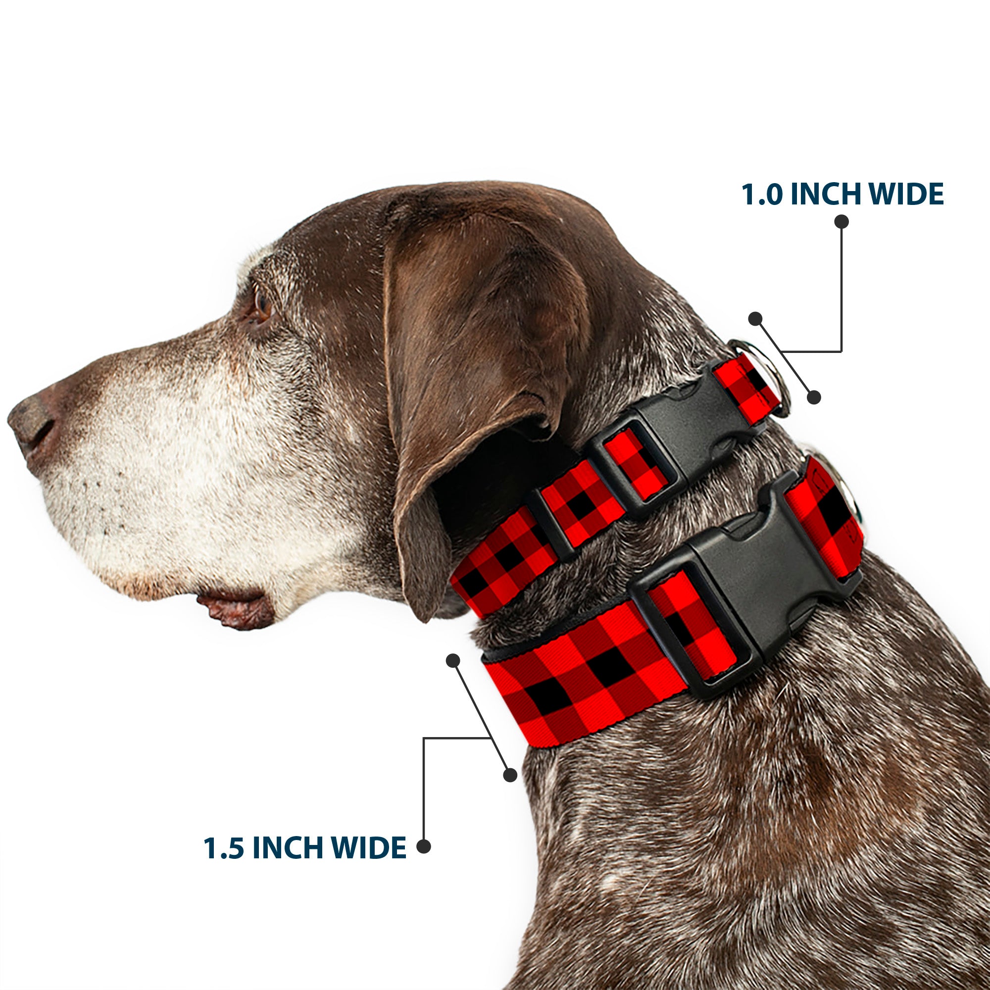 Plastic Clip Collar - Buffalo Plaid Black/Red Plastic Clip Collars Buckle-Down