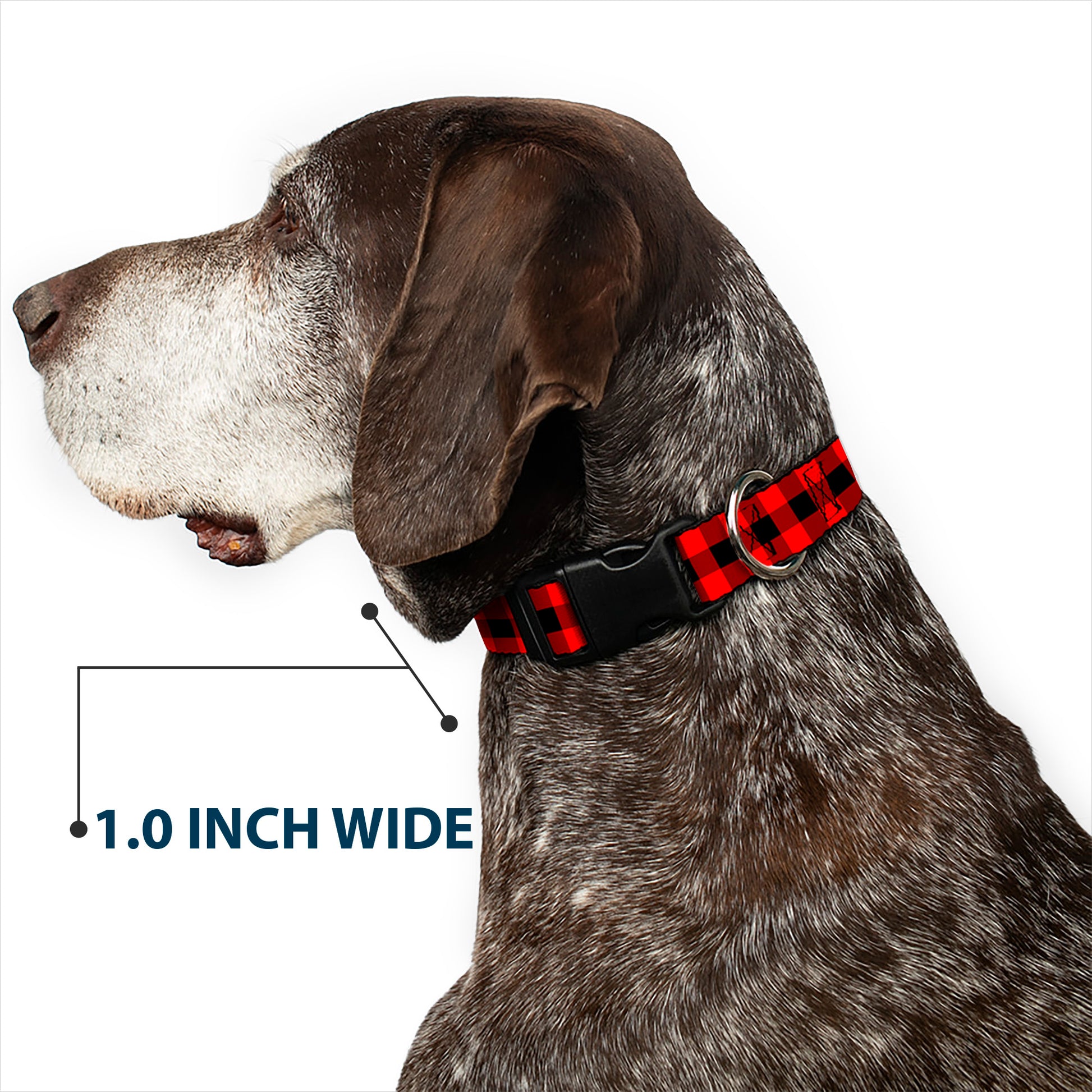 Plastic Clip Collar - Buffalo Plaid Black/Red Plastic Clip Collars Buckle-Down