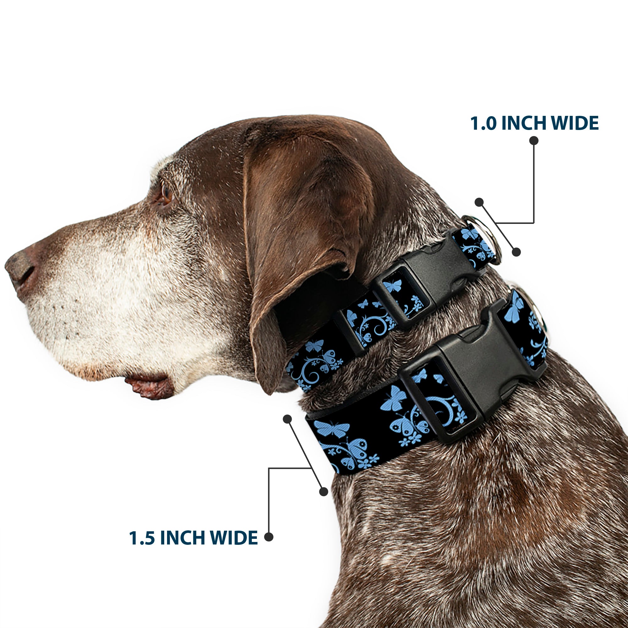 Plastic Clip Collar - Butterfly Garden Black/Blue Plastic Clip Collars Buckle-Down