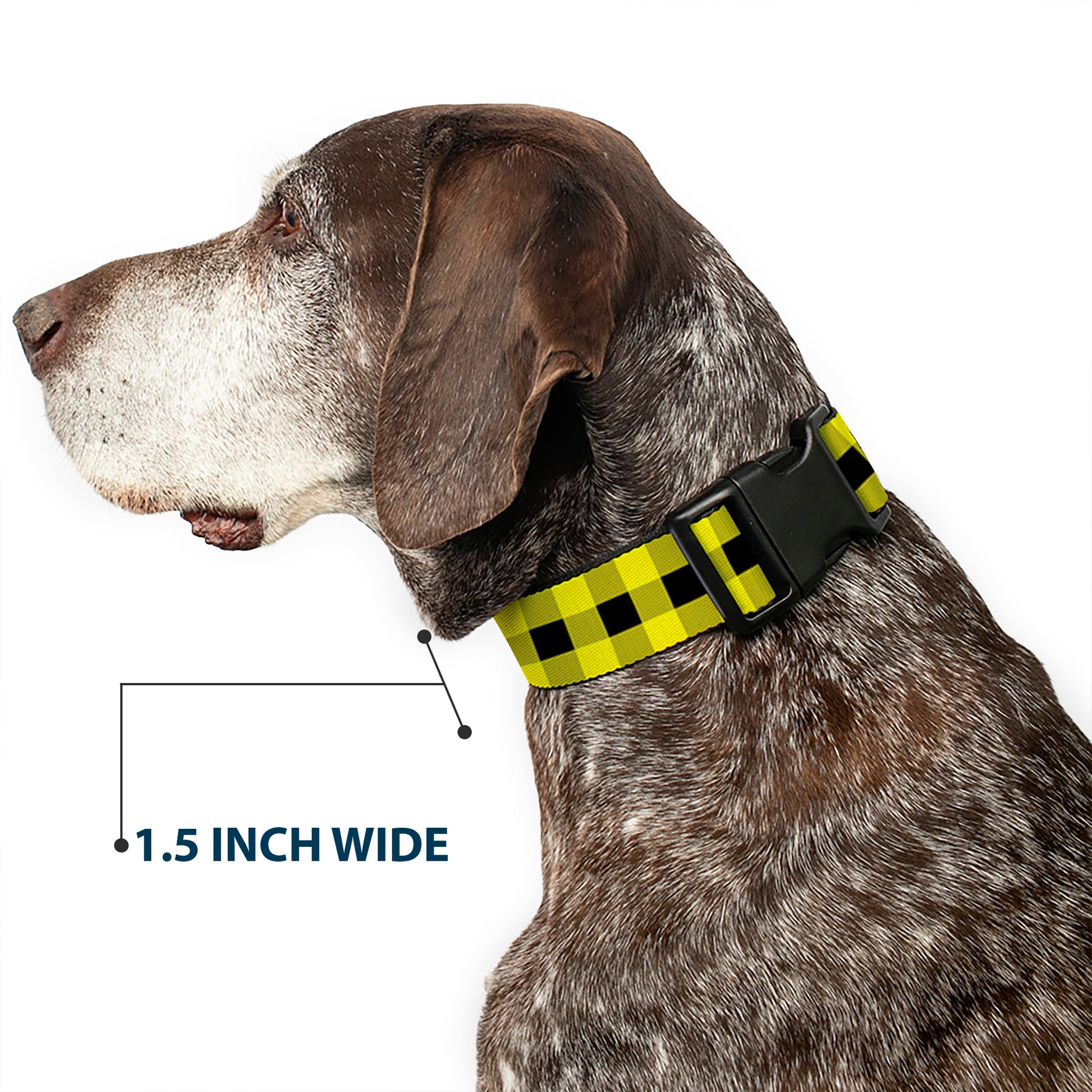 Plastic Clip Collar - Buffalo Plaid Black/Neon Yellow Plastic Clip Collars Buckle-Down