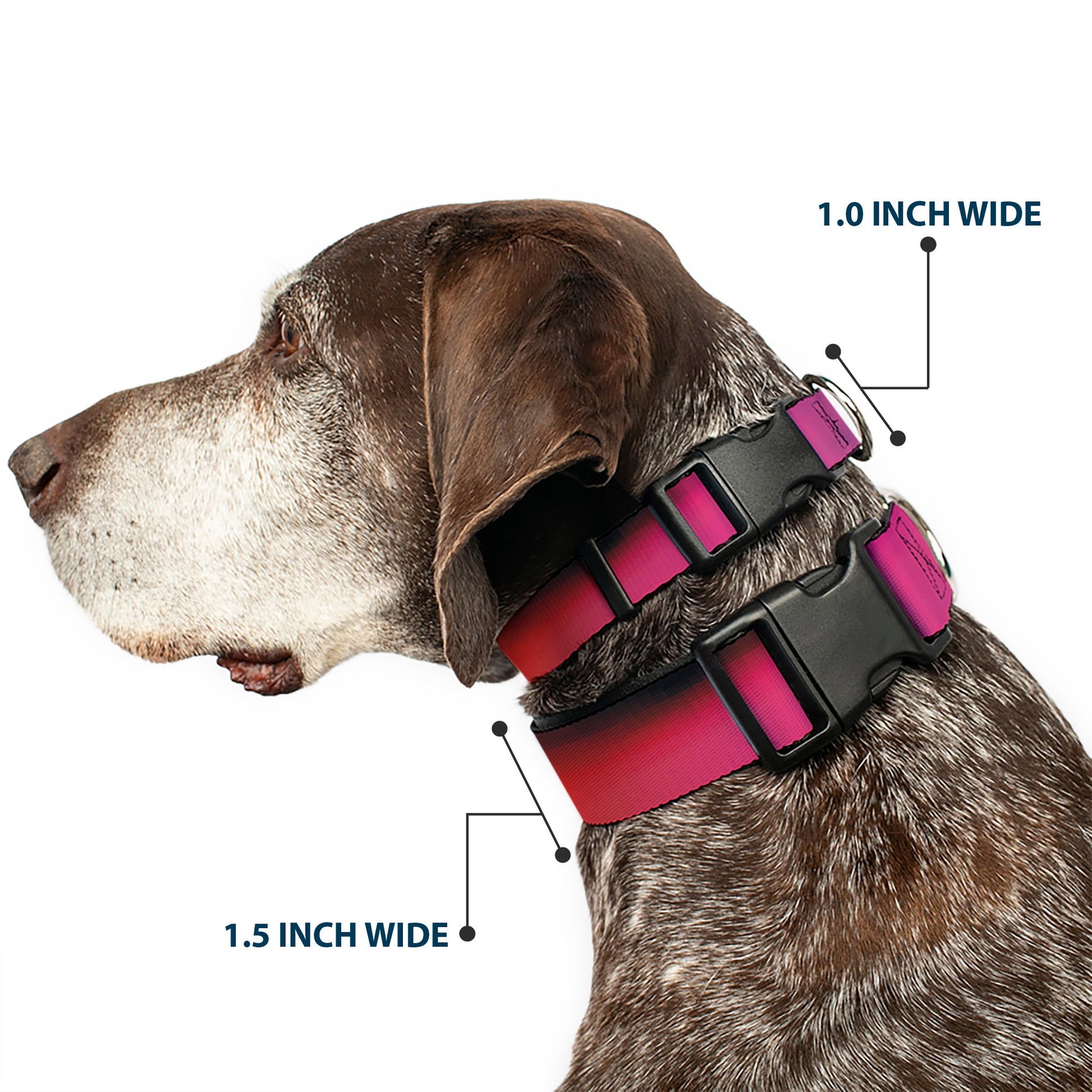 Plastic Clip Collar - BD Psychedelic Plastic Clip Collars Buckle-Down