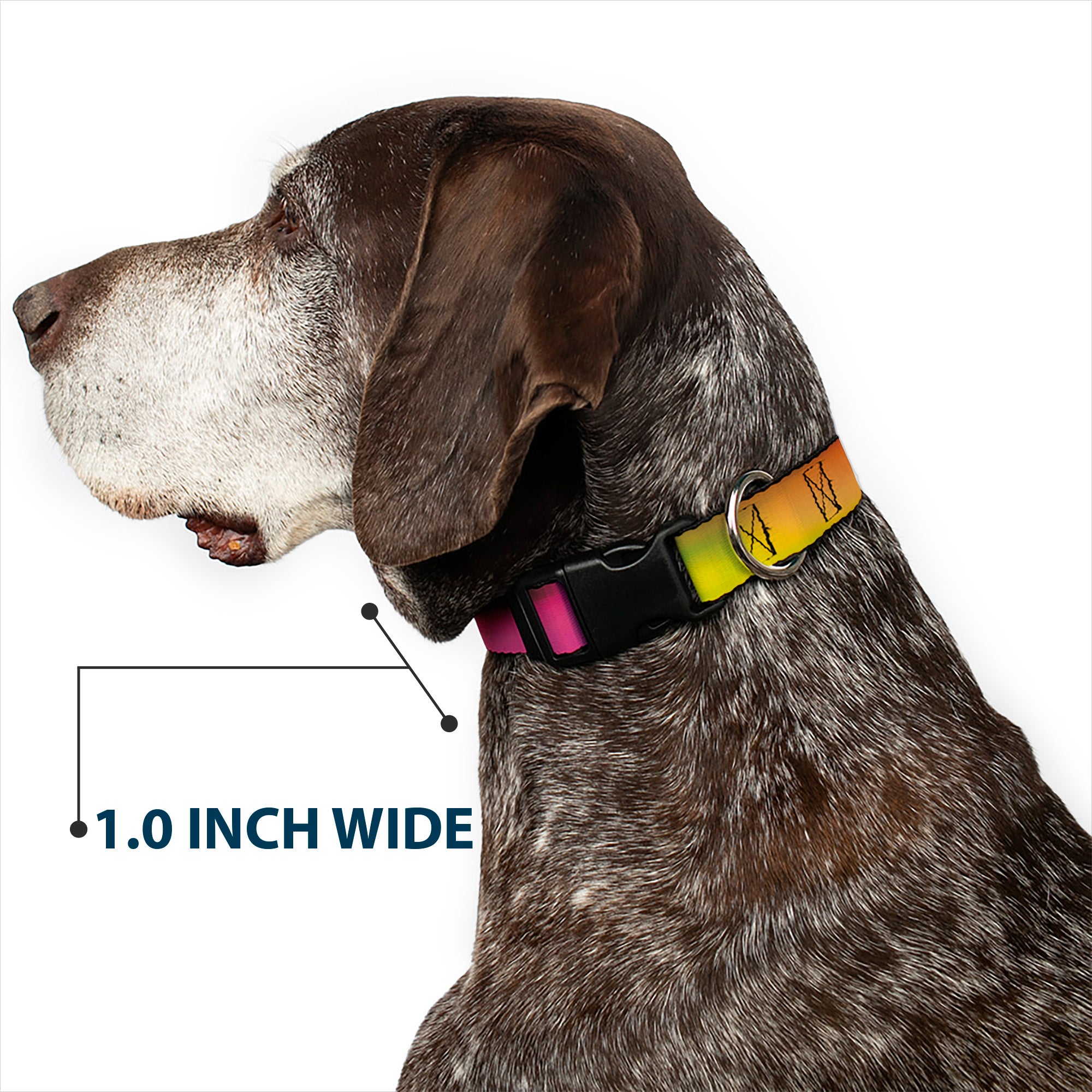 Plastic Clip Collar - BD Psychedelic Plastic Clip Collars Buckle-Down