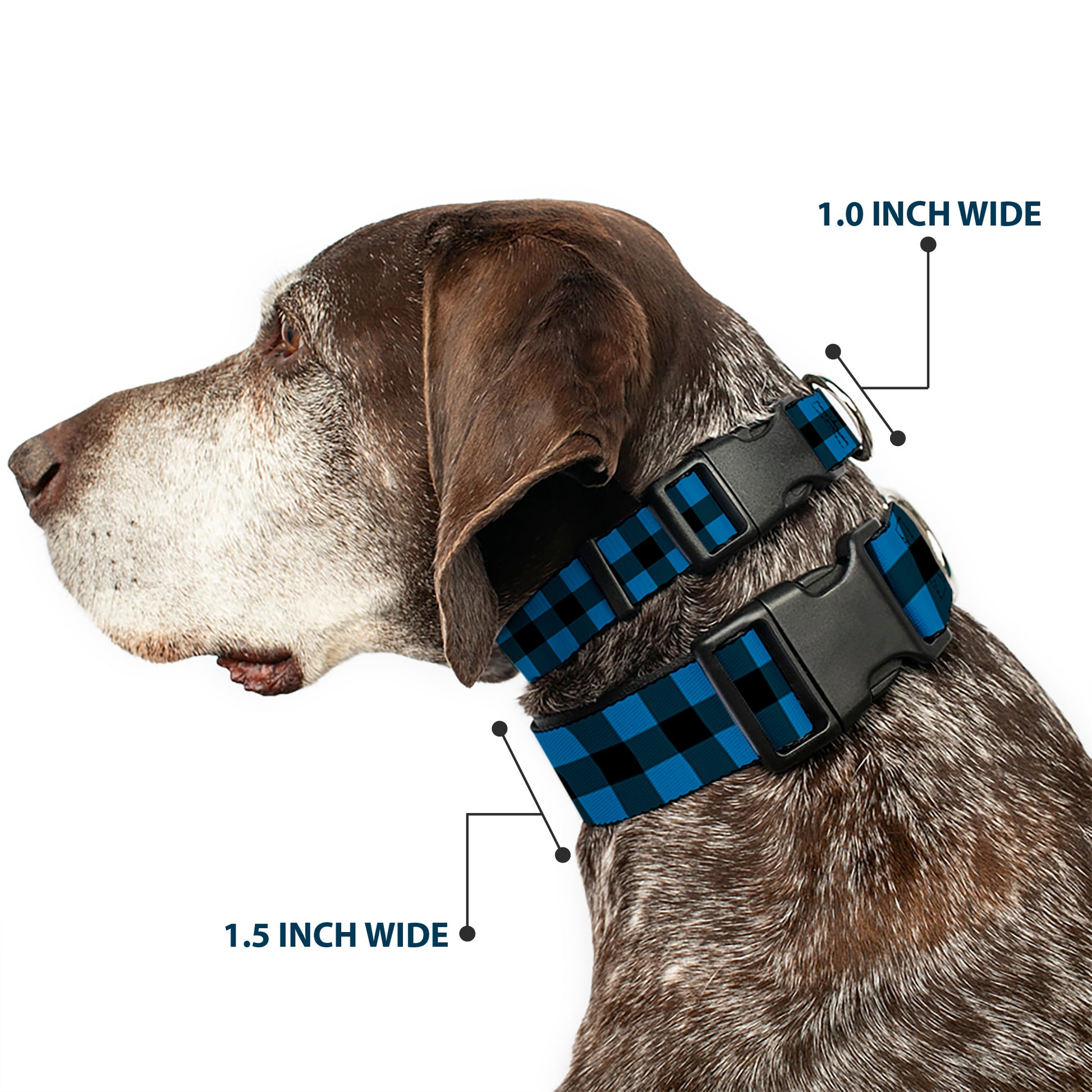 Plastic Clip Collar - Buffalo Plaid Black/Turquoise Plastic Clip Collars Buckle-Down