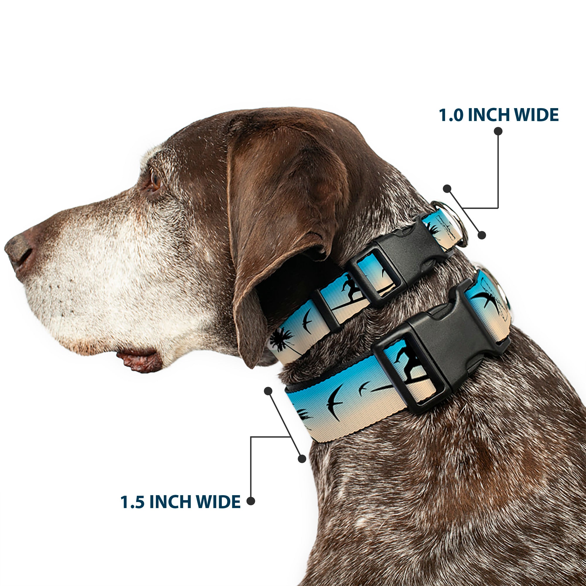 Plastic Clip Collar - Beach Surfer Plastic Clip Collars Buckle-Down