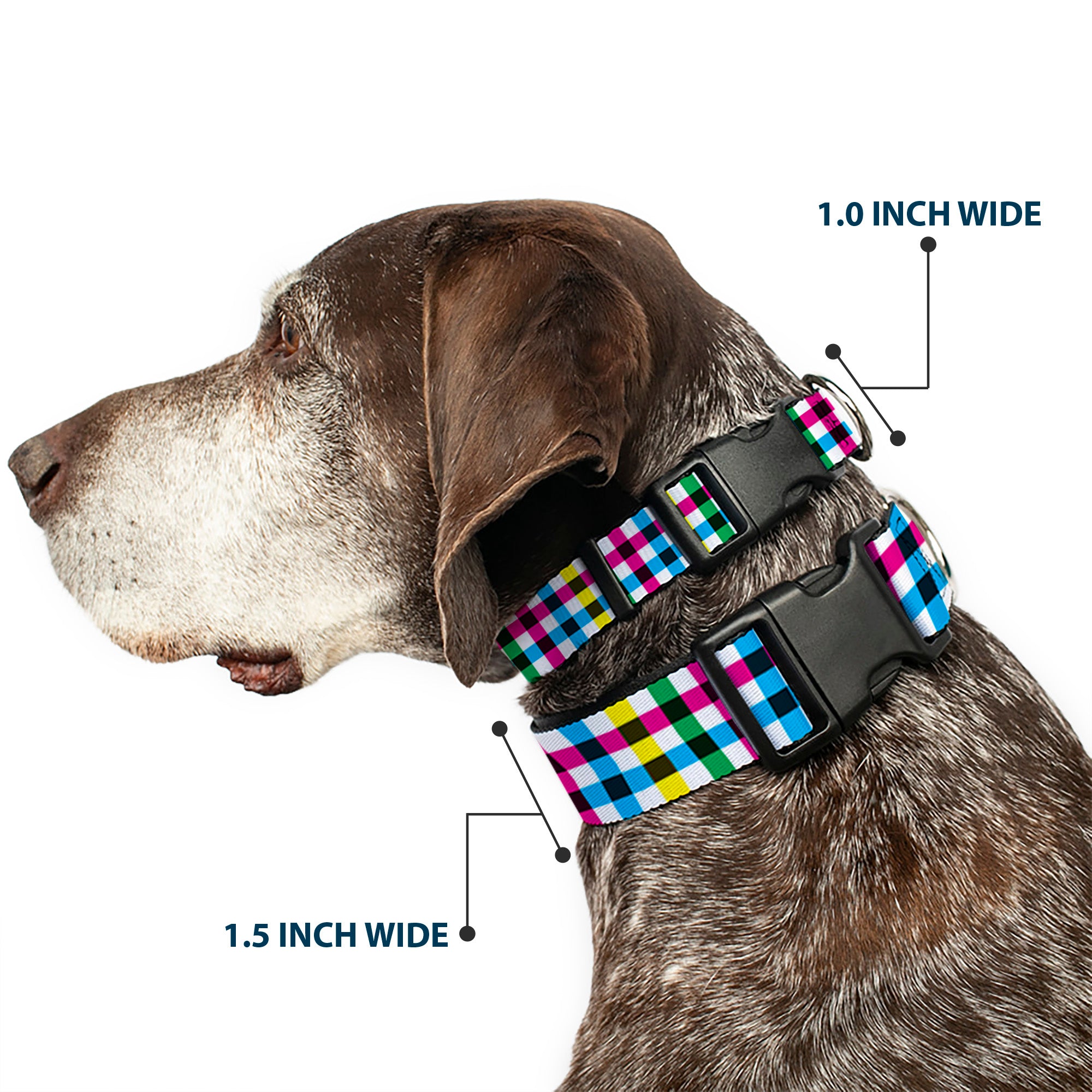 Plastic Clip Collar - Buffalo Plaid White/Multi Color Plastic Clip Collars Buckle-Down