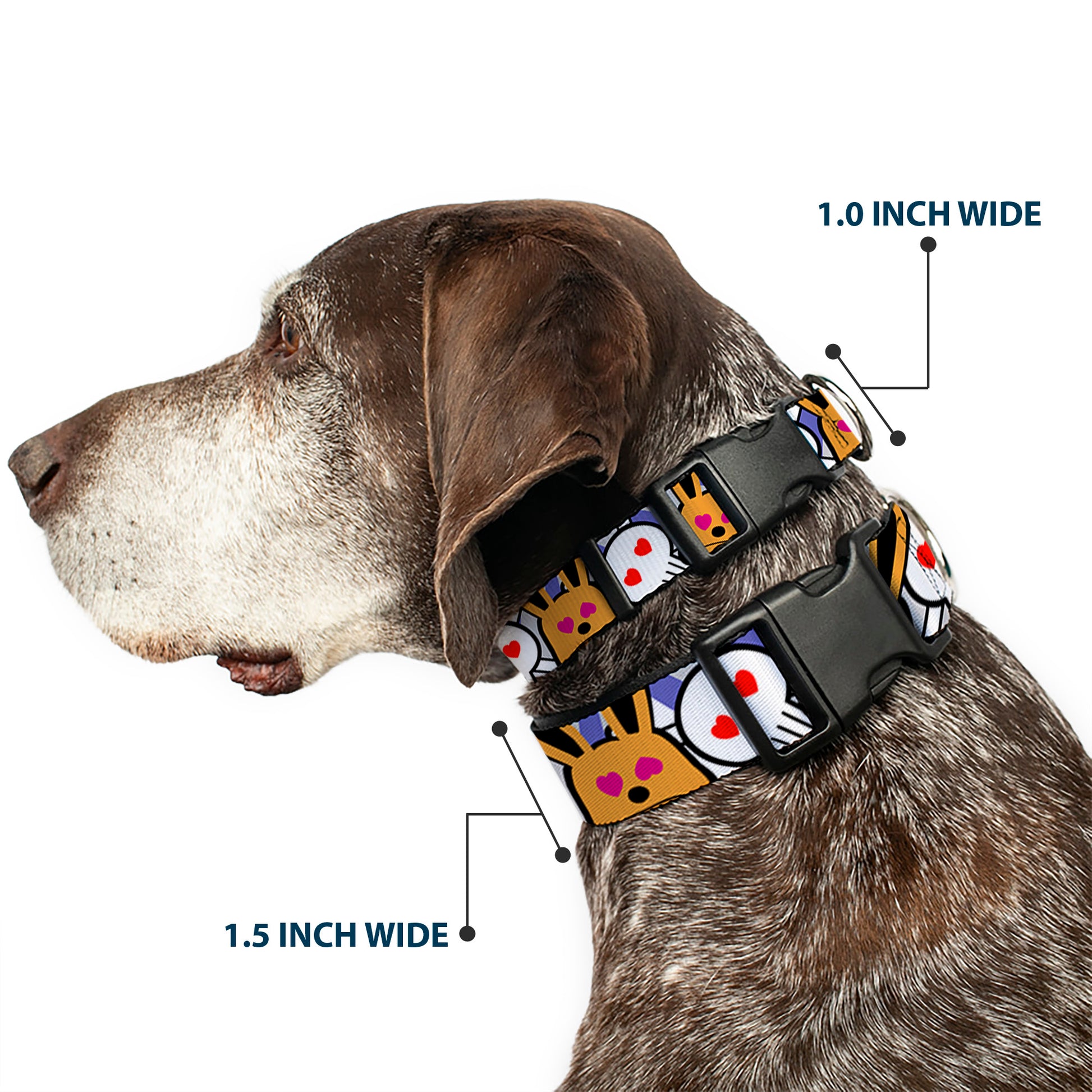 Plastic Clip Collar - BD Cartoon CLOSE-UP Plastic Clip Collars Buckle-Down