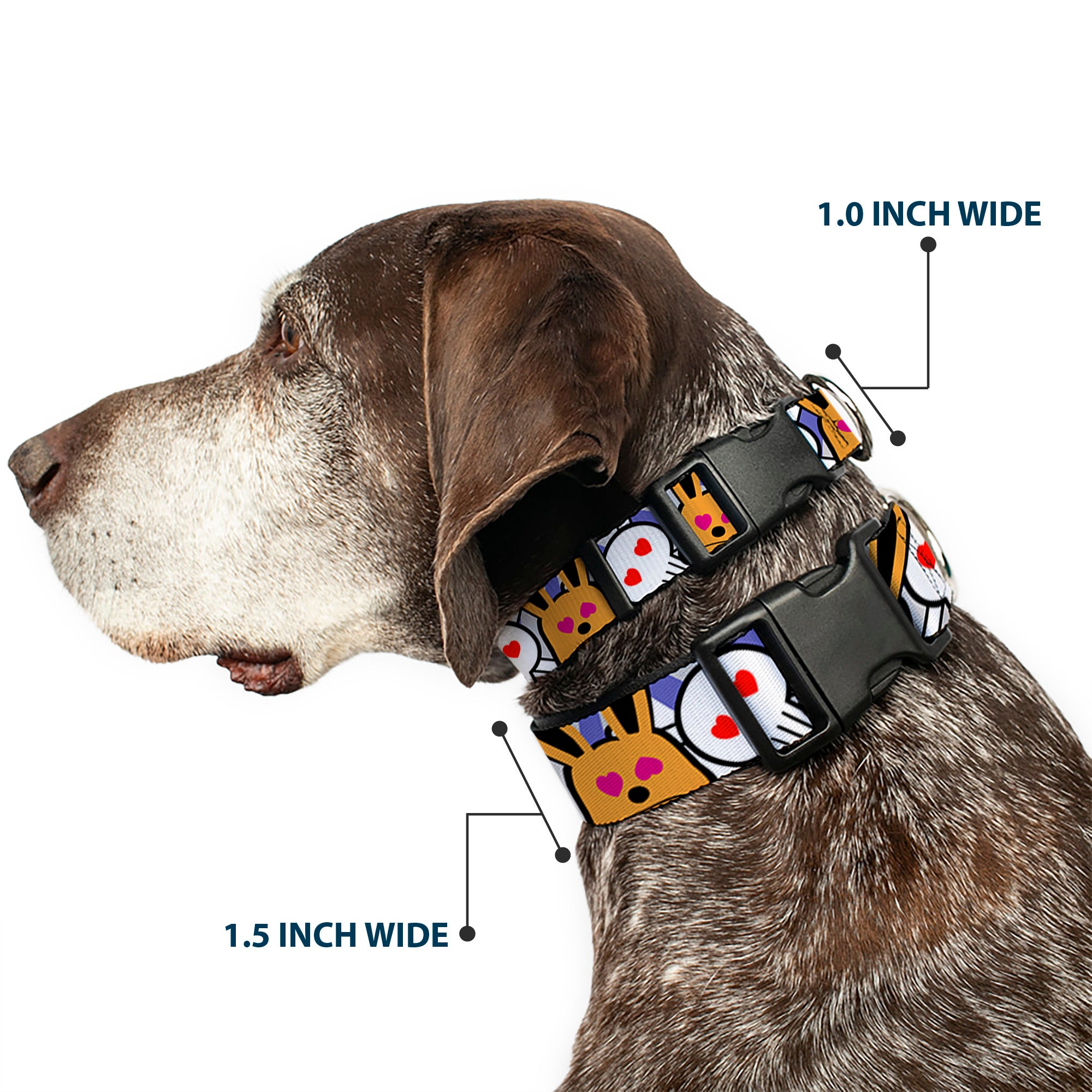 Plastic Clip Collar - BD Cartoon CLOSE-UP Plastic Clip Collars Buckle-Down