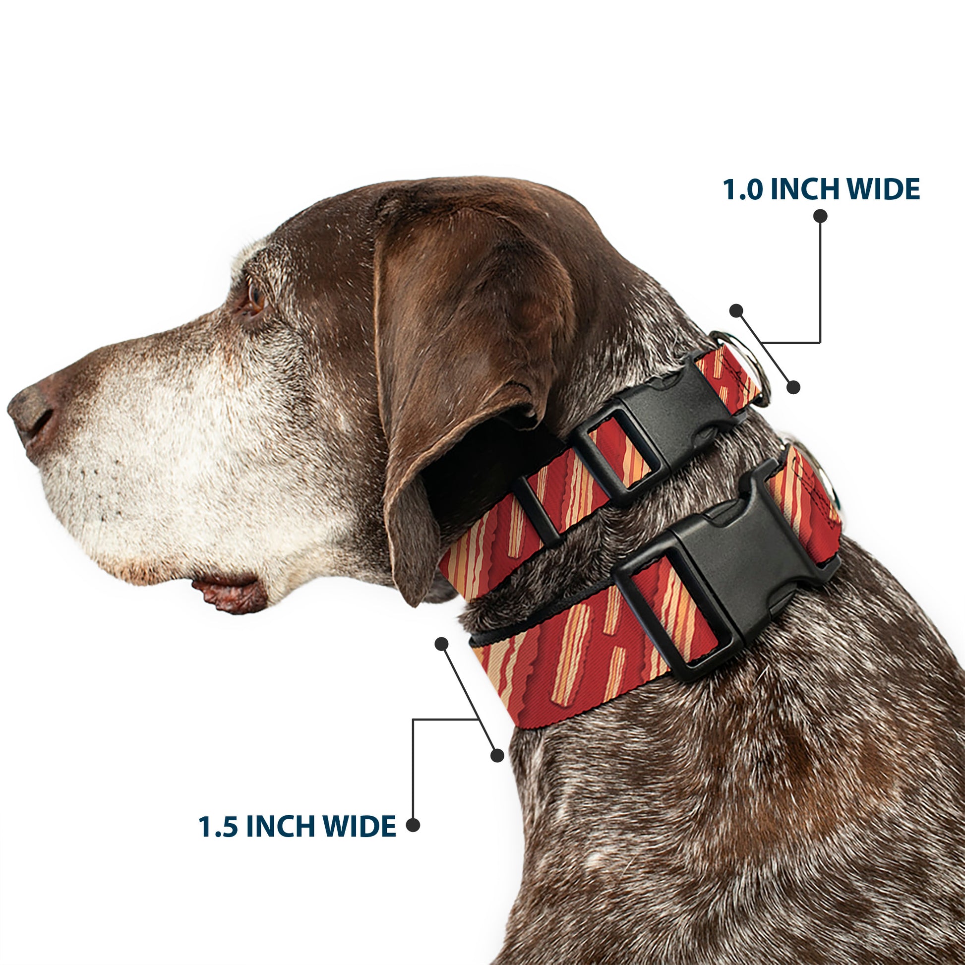 Plastic Clip Collar - Bacon Slices Red Plastic Clip Collars Buckle-Down