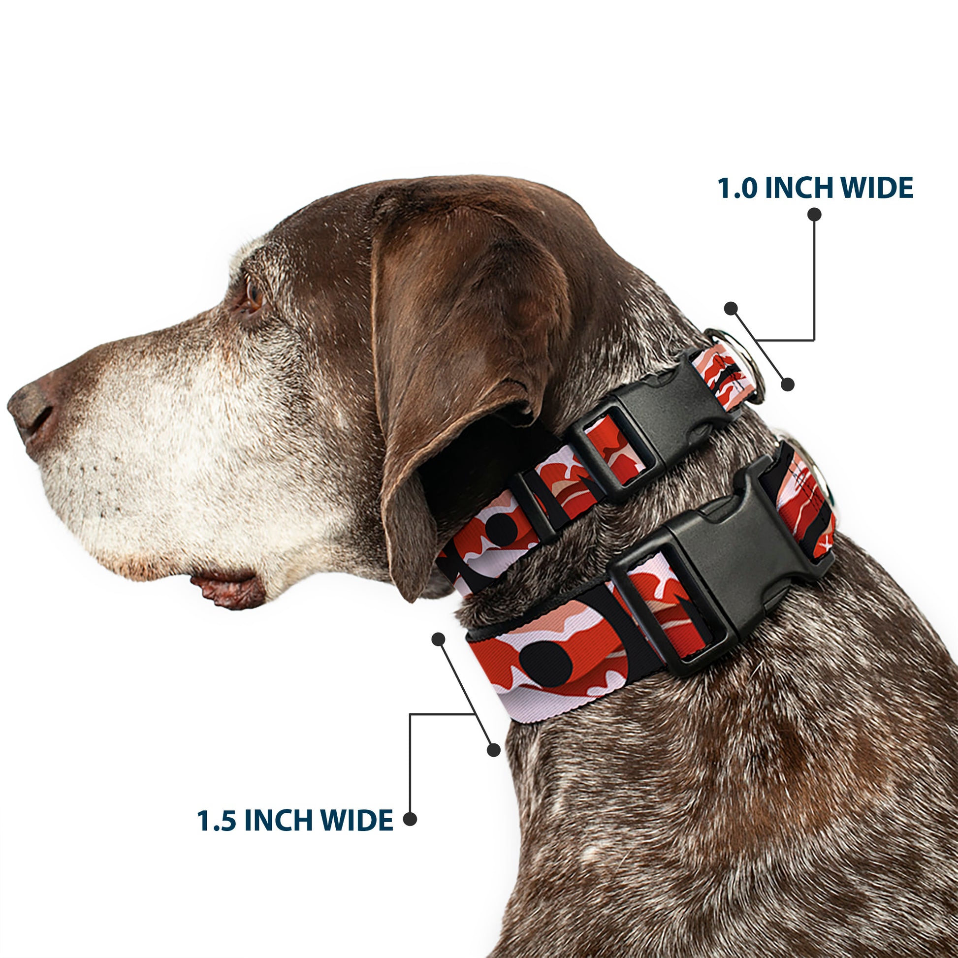 Plastic Clip Collar - Bacon w/Text1 Plastic Clip Collars Buckle-Down