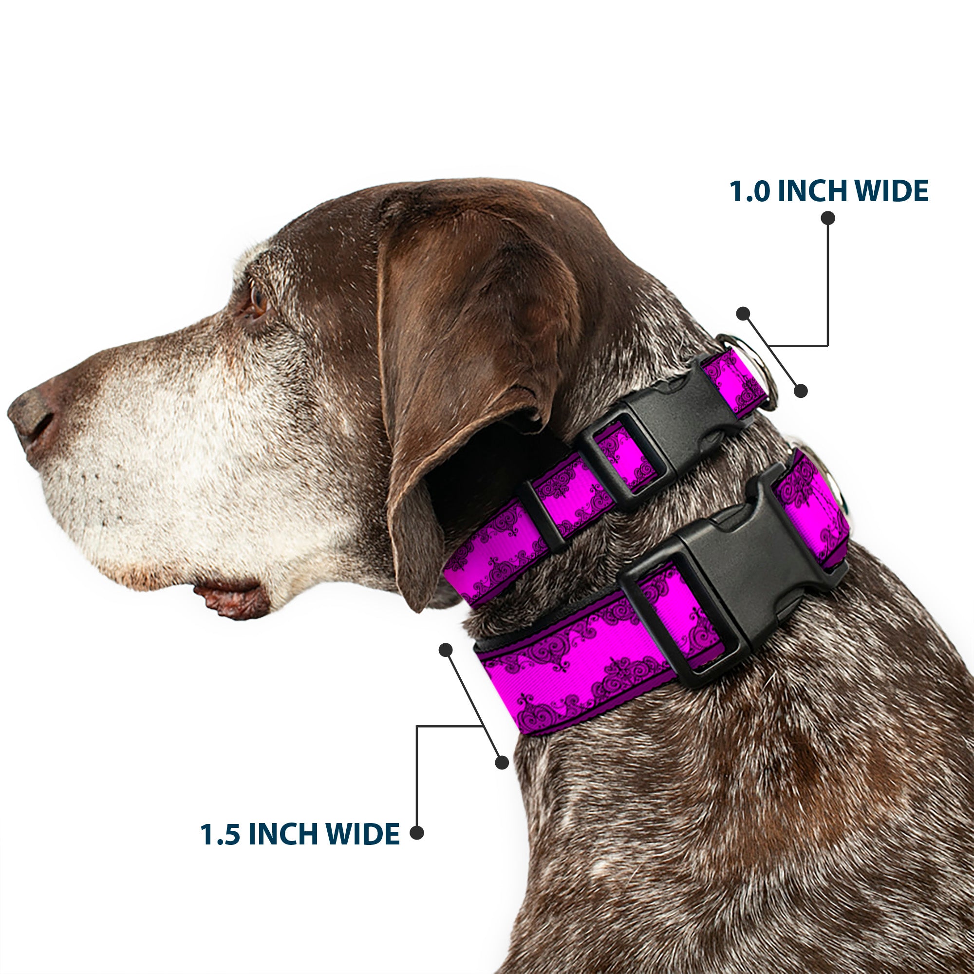 Plastic Clip Collar - Boudoir Wallpaper Fuchsia/Black Plastic Clip Collars Buckle-Down