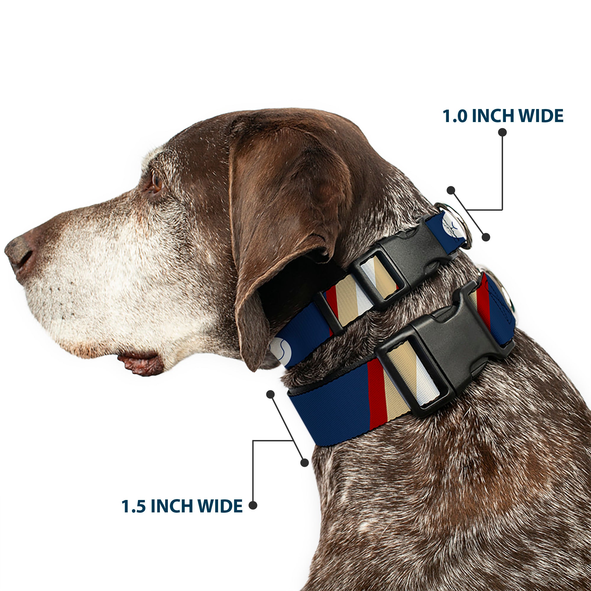 Plastic Clip Collar - Ball/Stripes Tan/Blue/Burgundy Plastic Clip Collars Buckle-Down