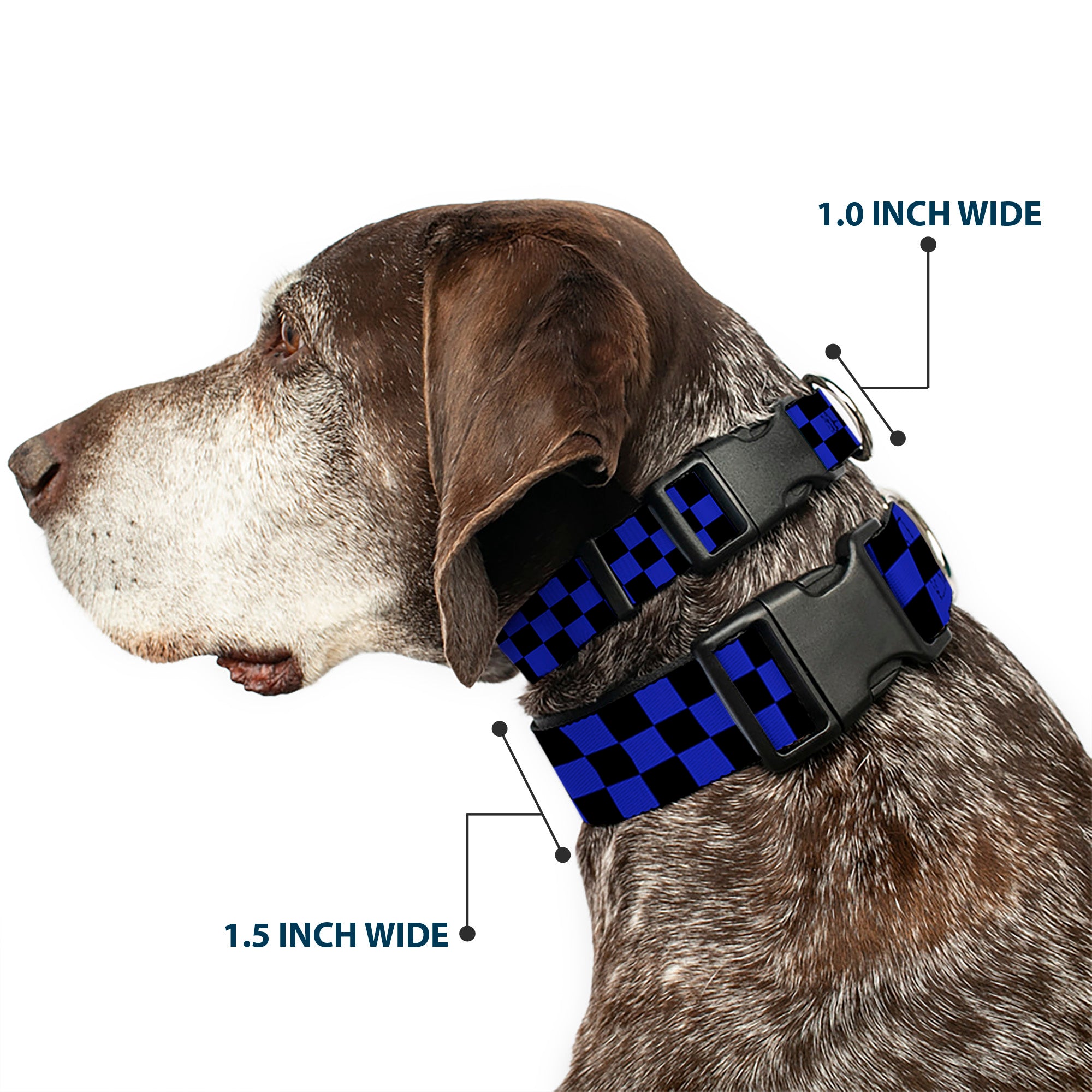 Plastic Clip Collar - Checker Black/Neon Blue Plastic Clip Collars Buckle-Down