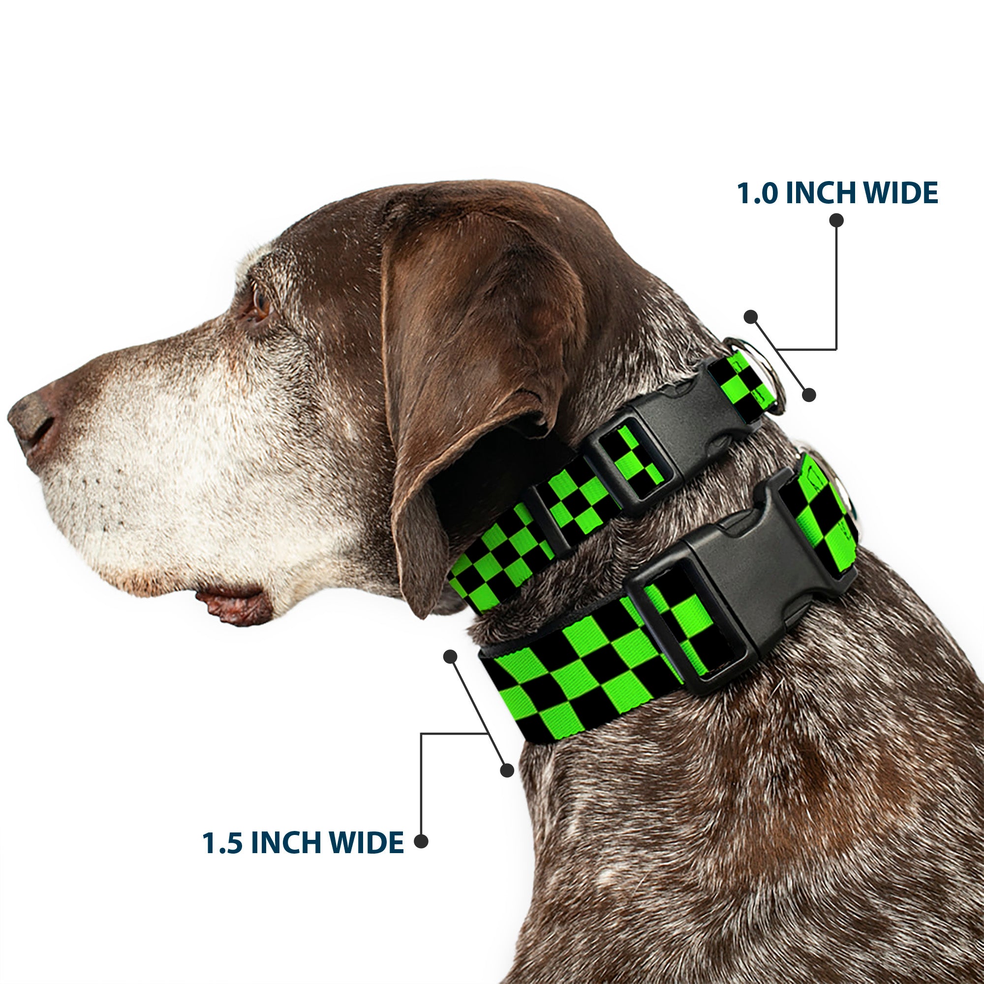 Plastic Clip Collar - Checker Black/Neon Green Plastic Clip Collars Buckle-Down
