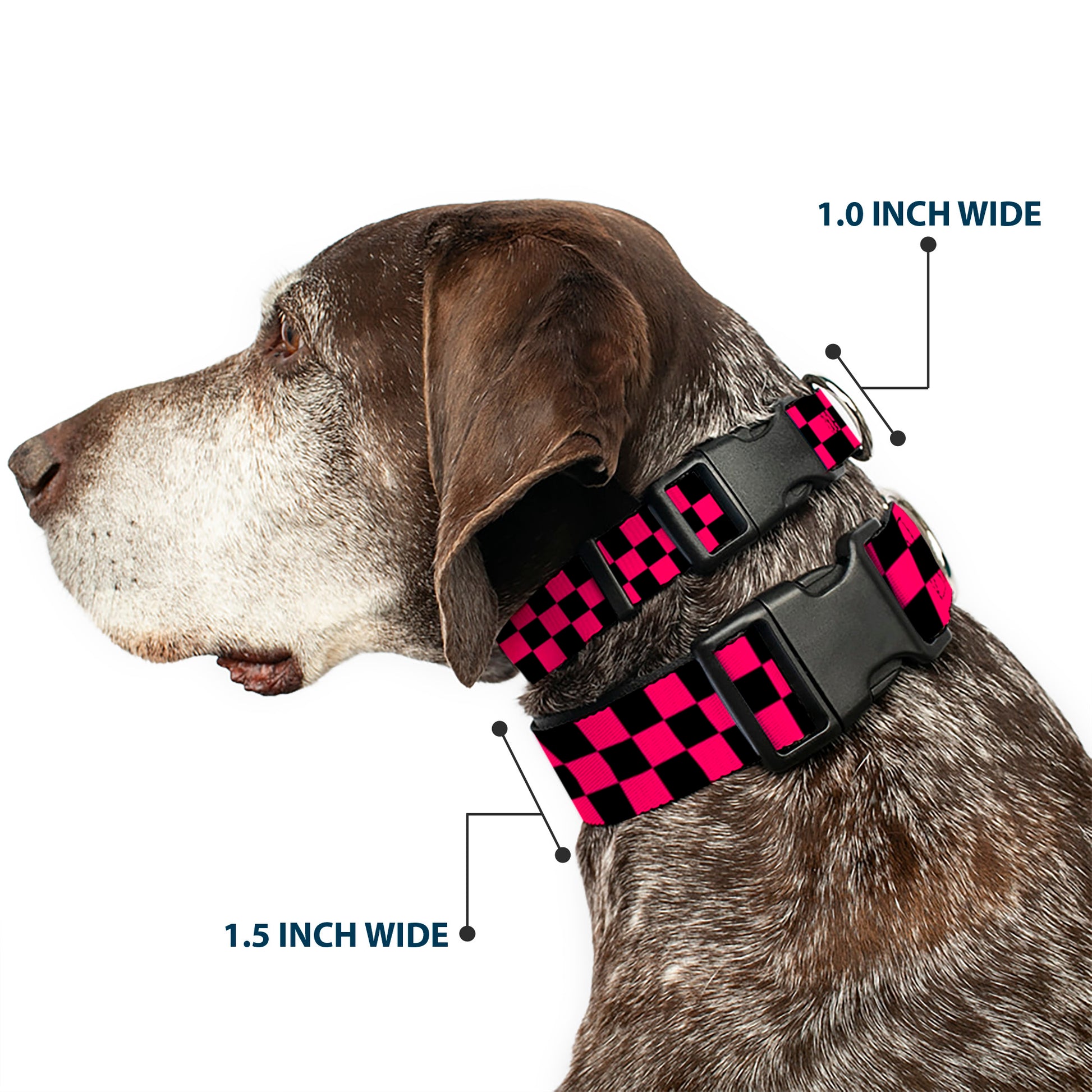 Plastic Clip Collar - Checker Black/Neon Pink Plastic Clip Collars Buckle-Down