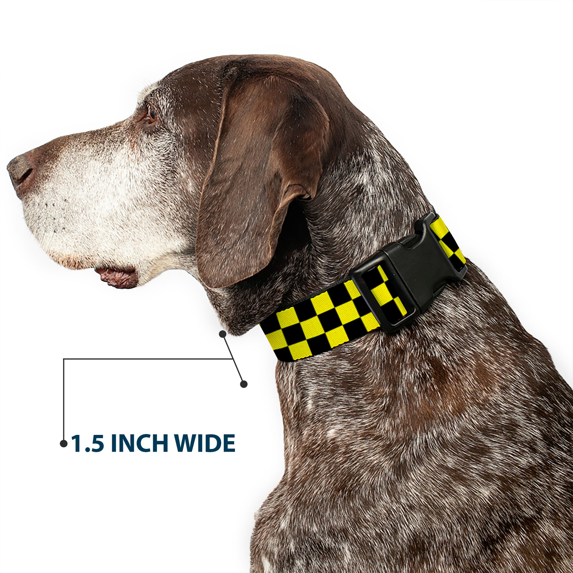 Plastic Clip Collar - Checker Black/Neon Yellow Plastic Clip Collars Buckle-Down