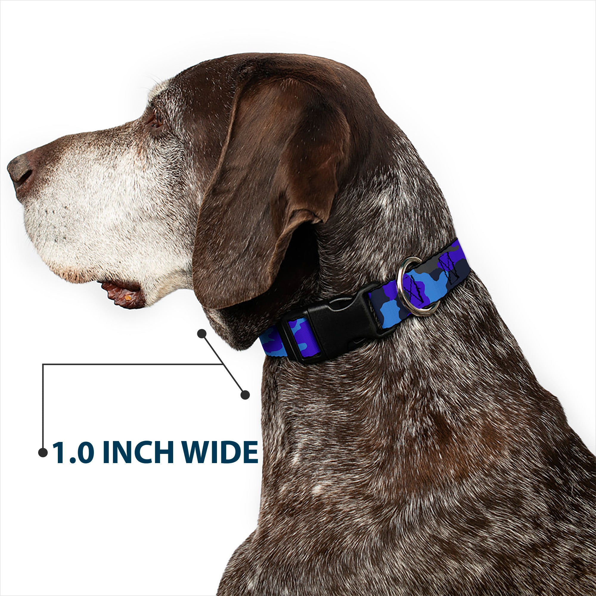 Plastic Clip Collar - Camo Blue Plastic Clip Collars Buckle-Down