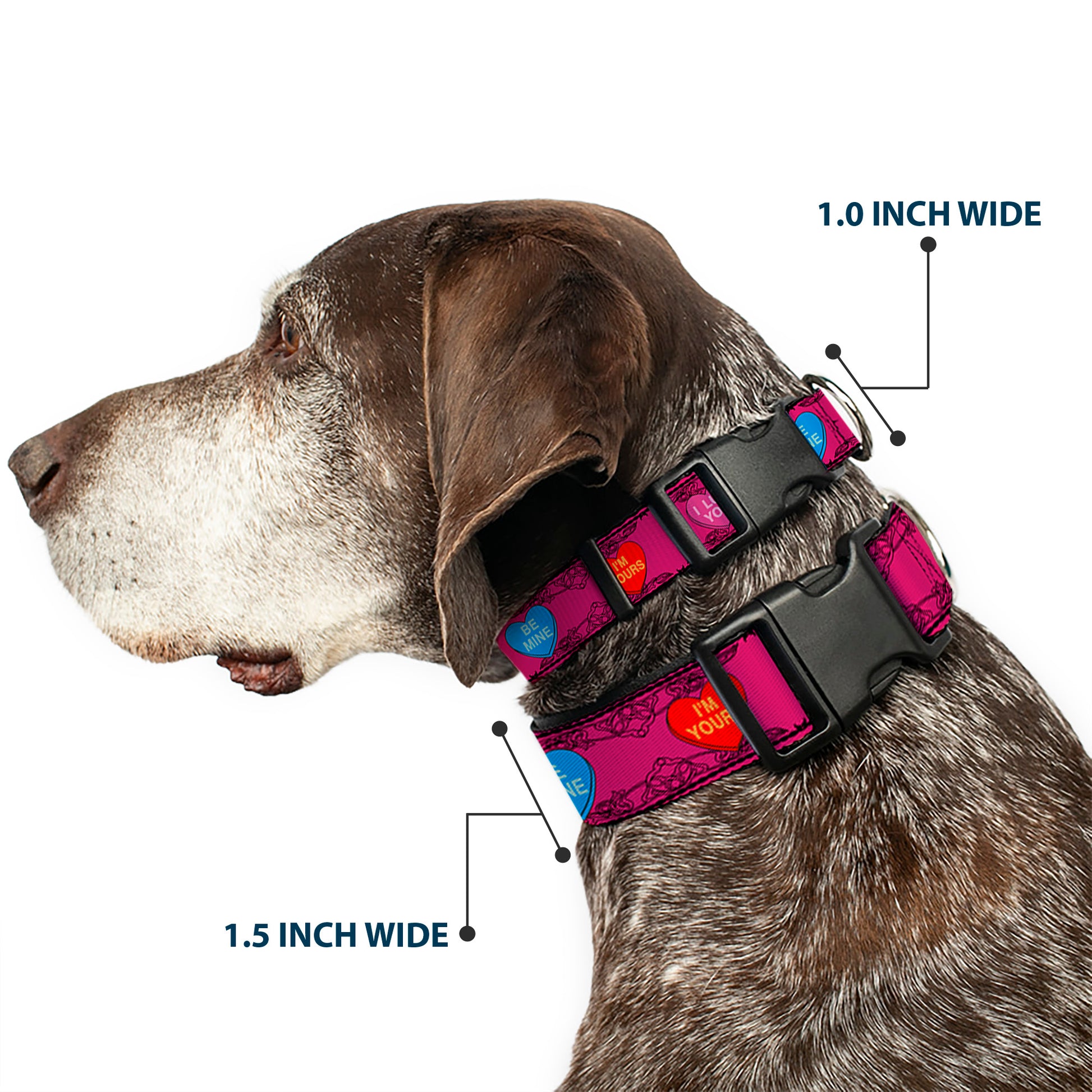 Plastic Clip Collar - Candy Hearts Plastic Clip Collars Buckle-Down