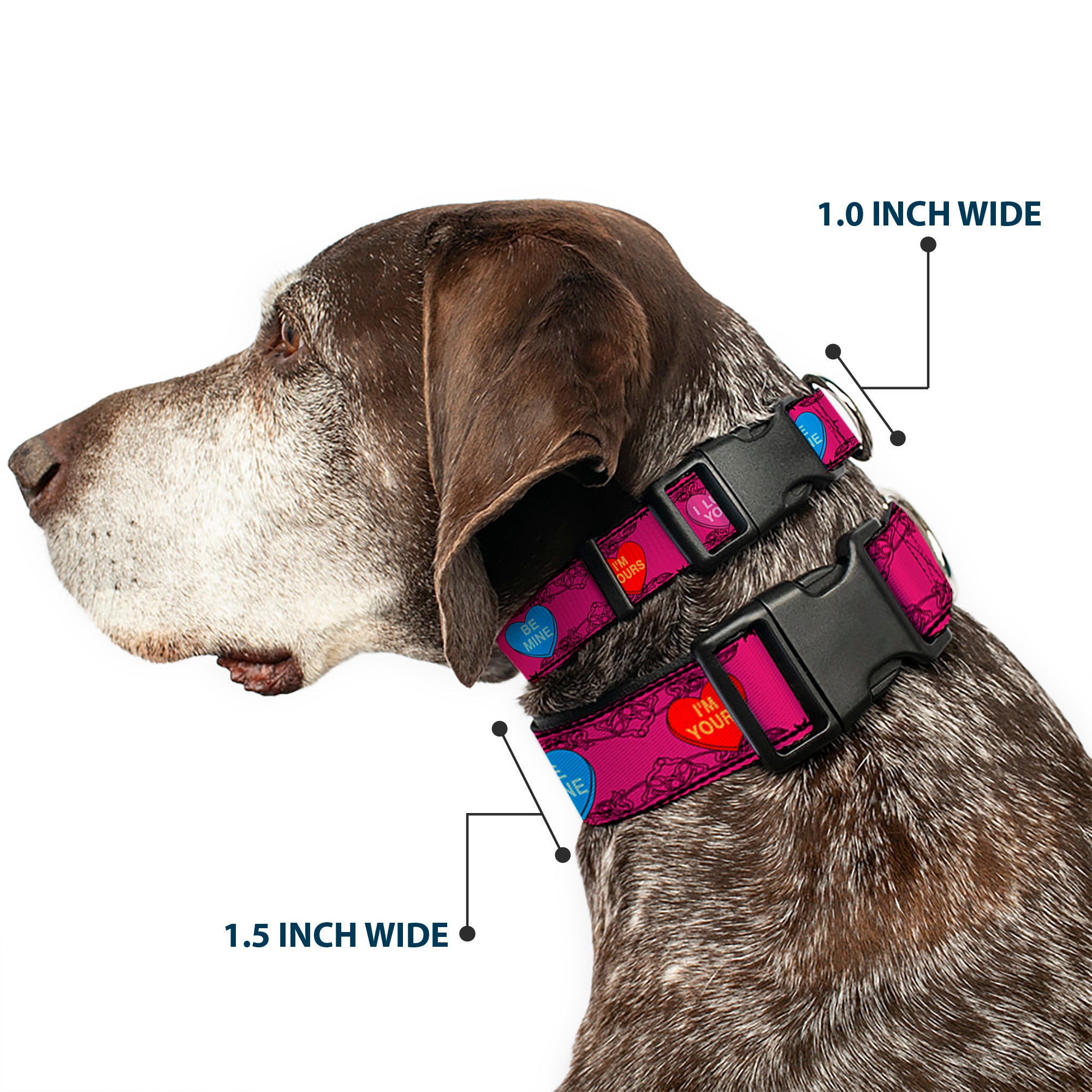 Plastic Clip Collar - Candy Hearts Plastic Clip Collars Buckle-Down