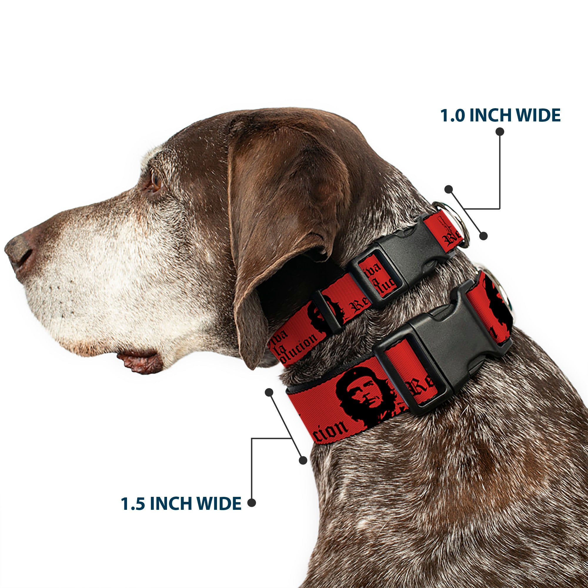 Plastic Clip Collar - Che Red/Black Plastic Clip Collars Buckle-Down