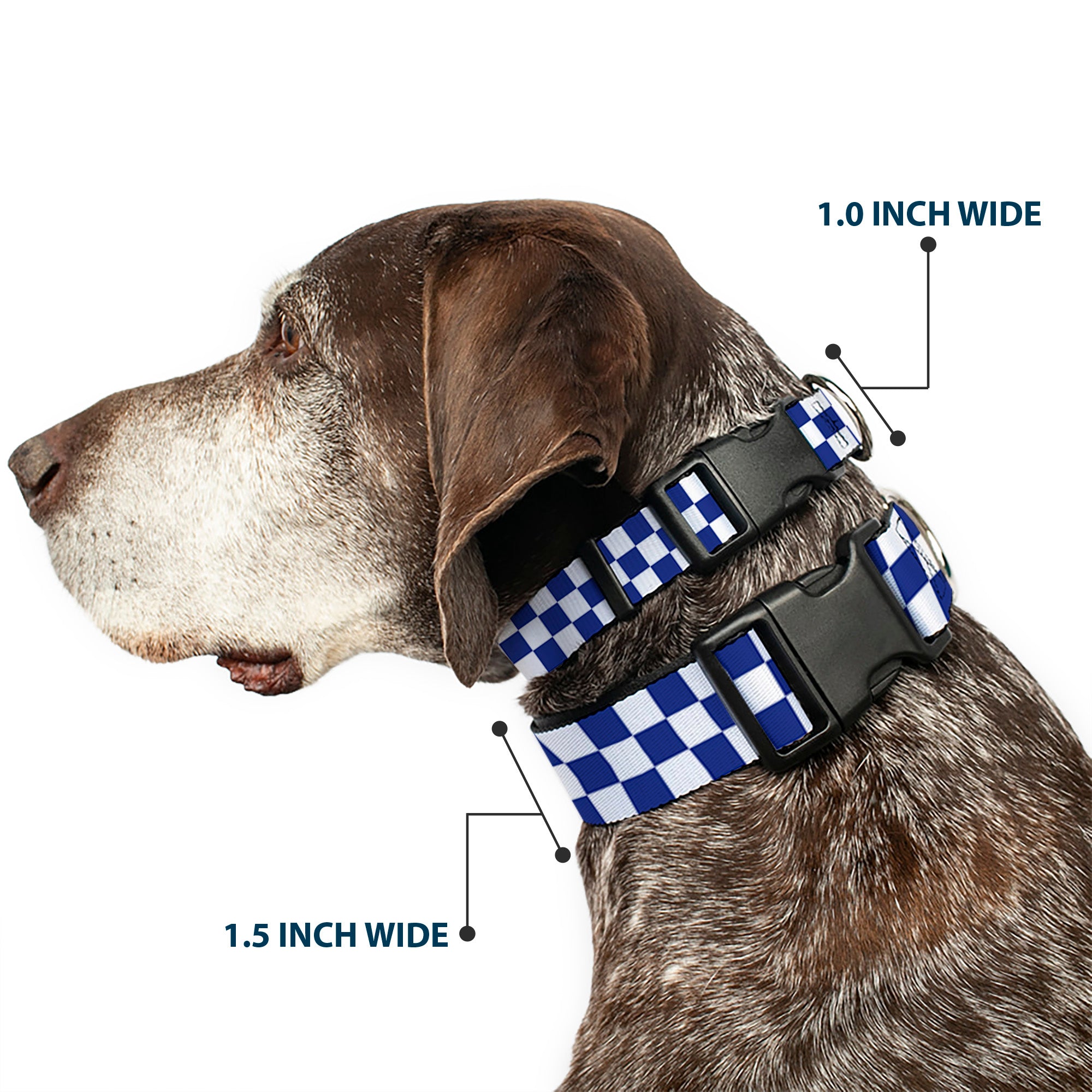Plastic Clip Collar - Checker BlueKU/White Plastic Clip Collars Buckle-Down