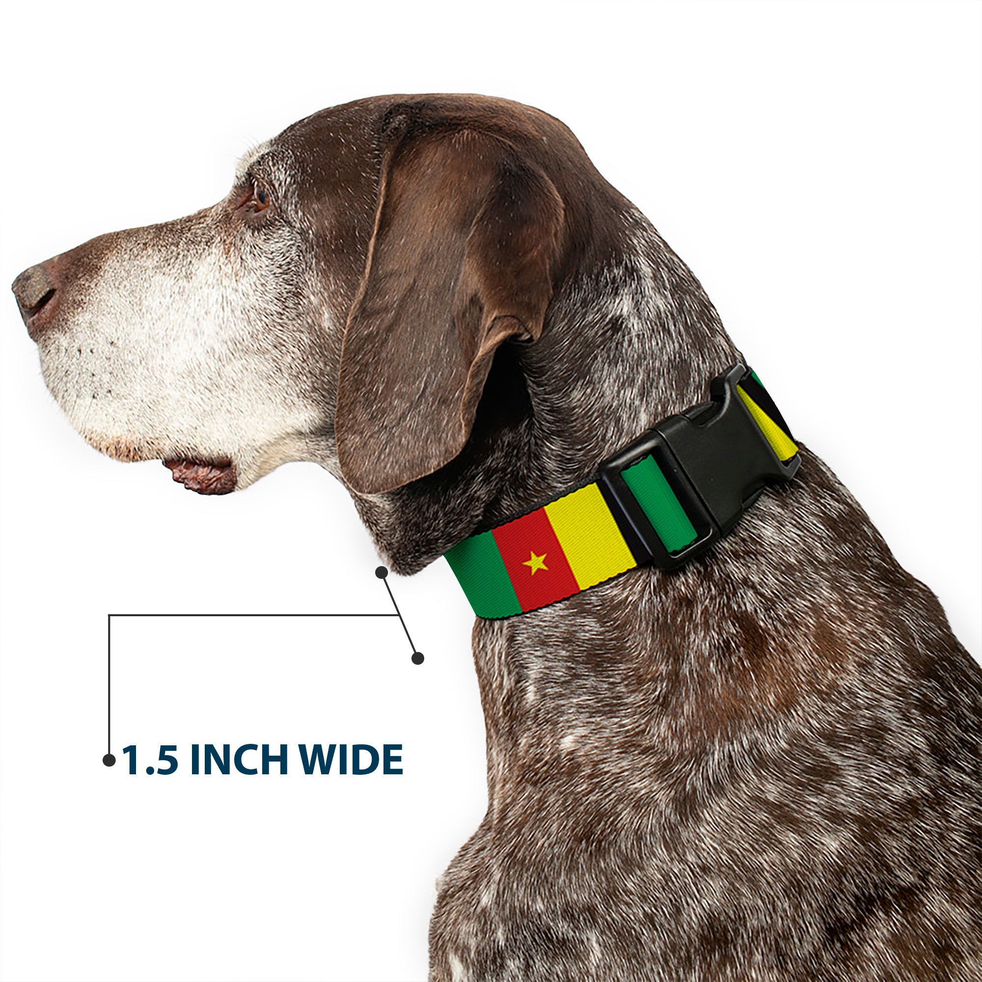 Plastic Clip Collar - Cameroon Flags Plastic Clip Collars Buckle-Down